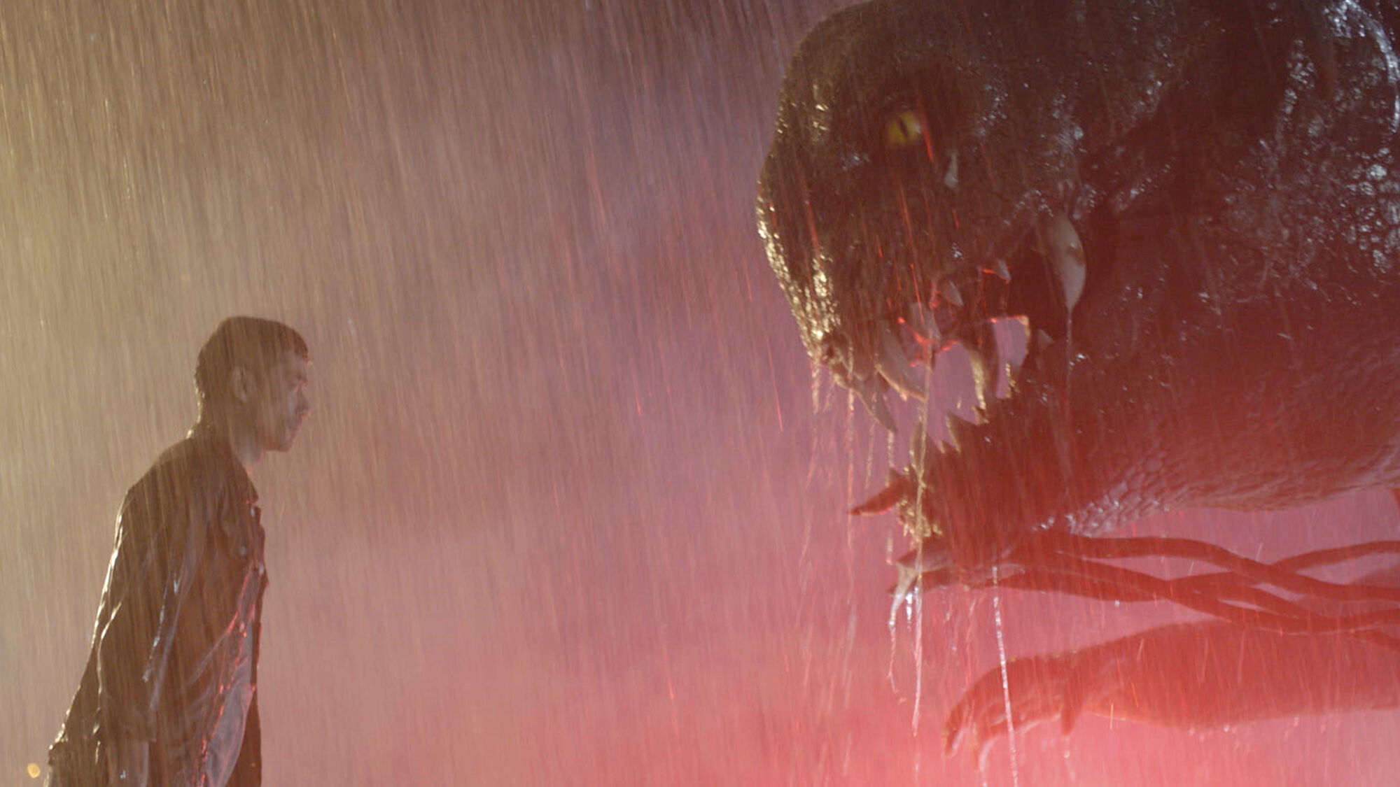 Scene Image 5