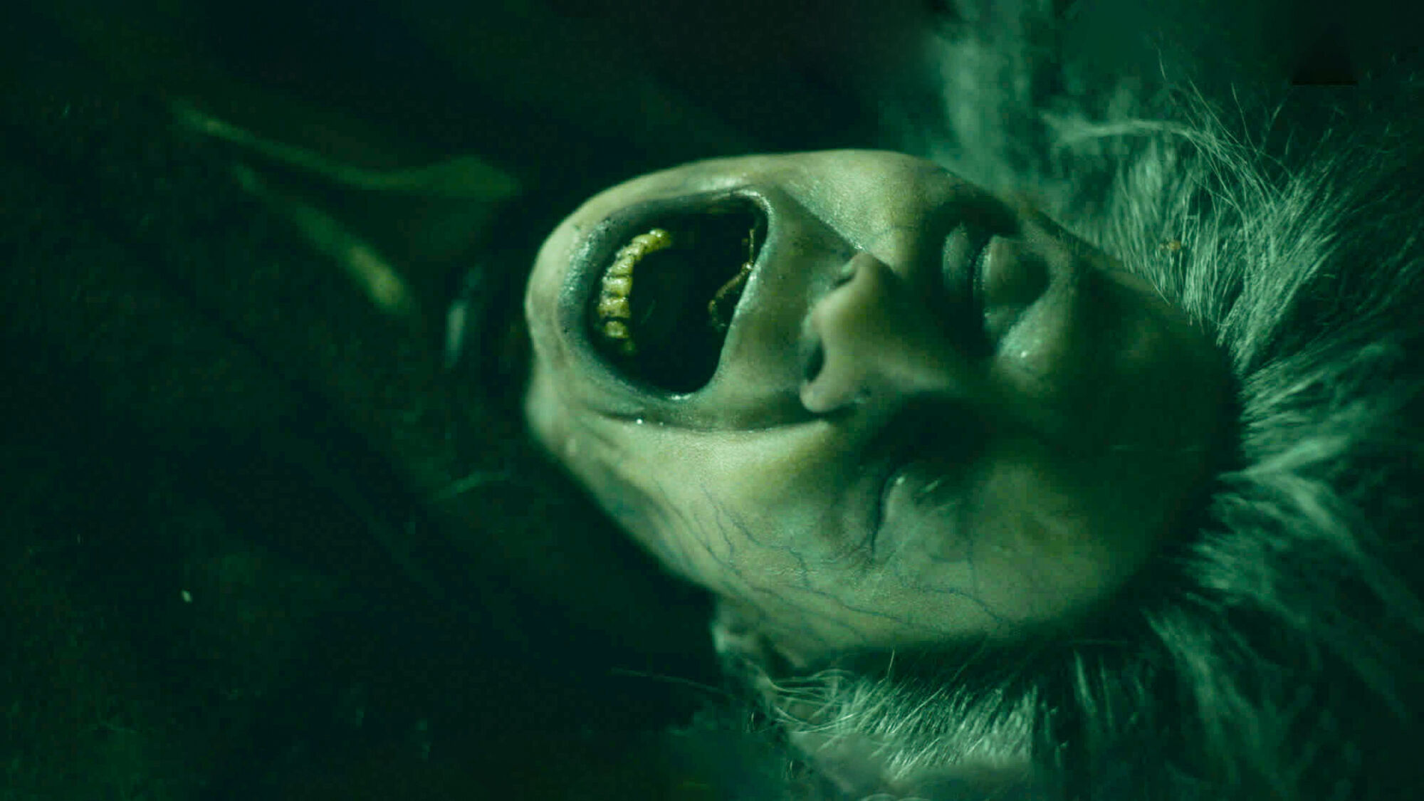 Scene Image 2