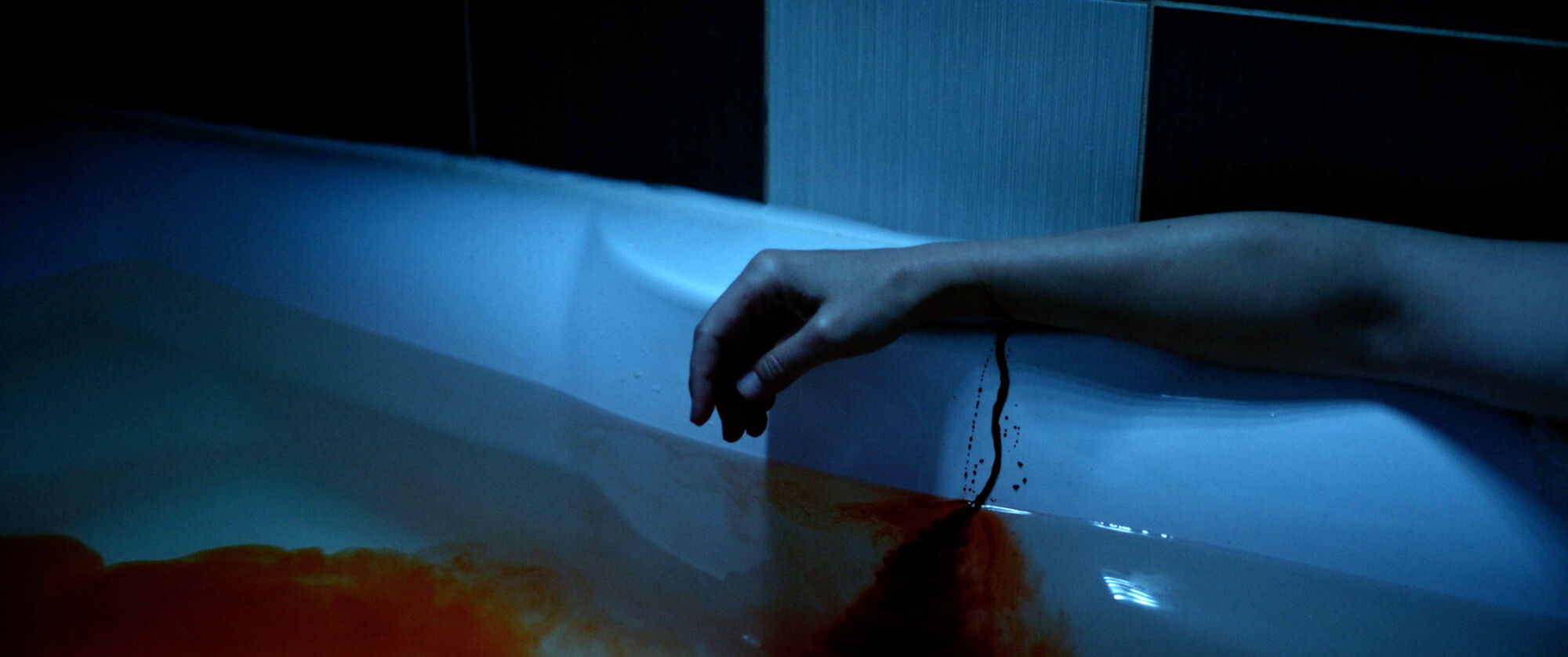 Scene Image 7