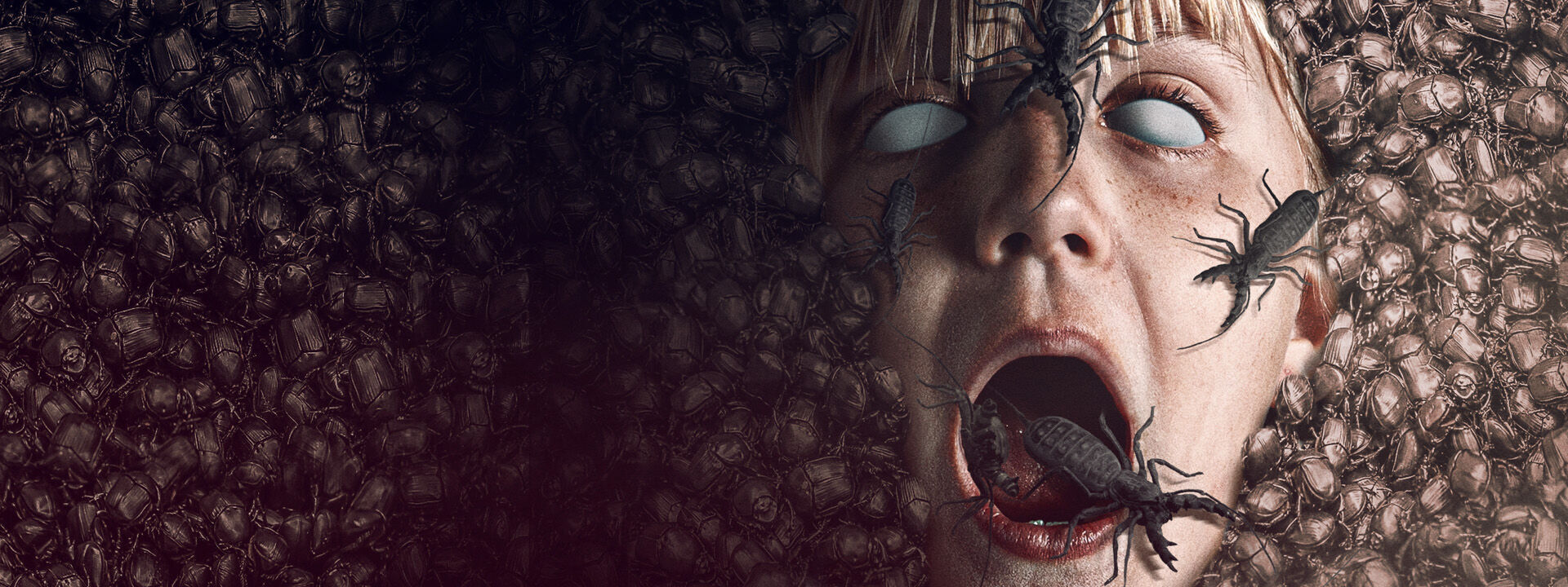 The Nest - Don’t Let The Bed Bugs Bite