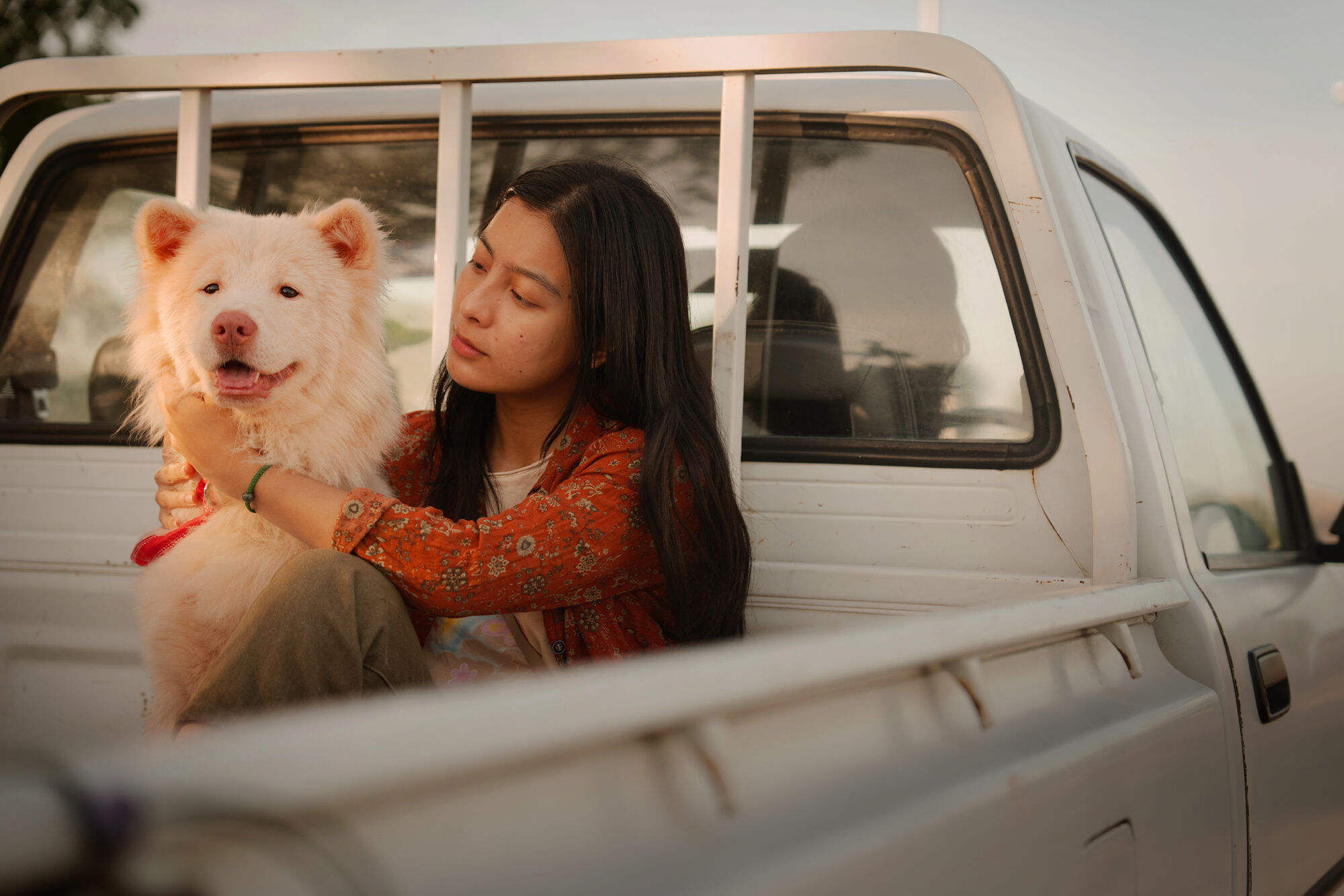 Scene Image 4