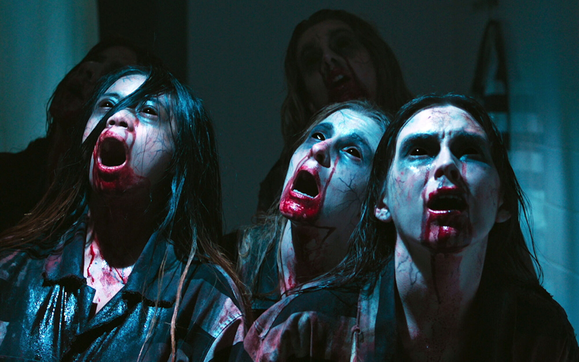 Scene Image 5
