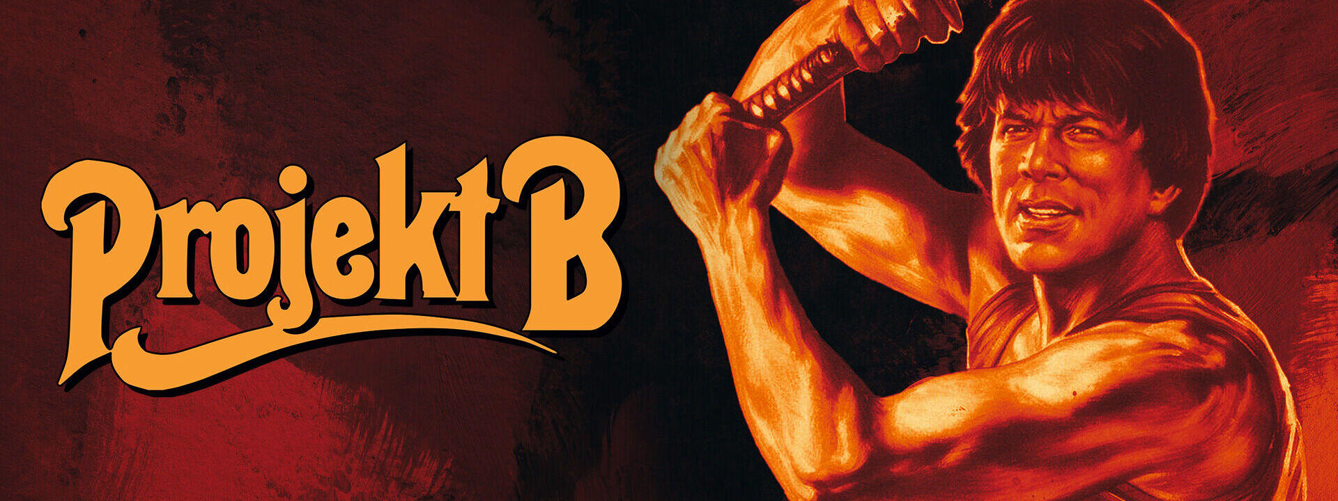 Projekt B