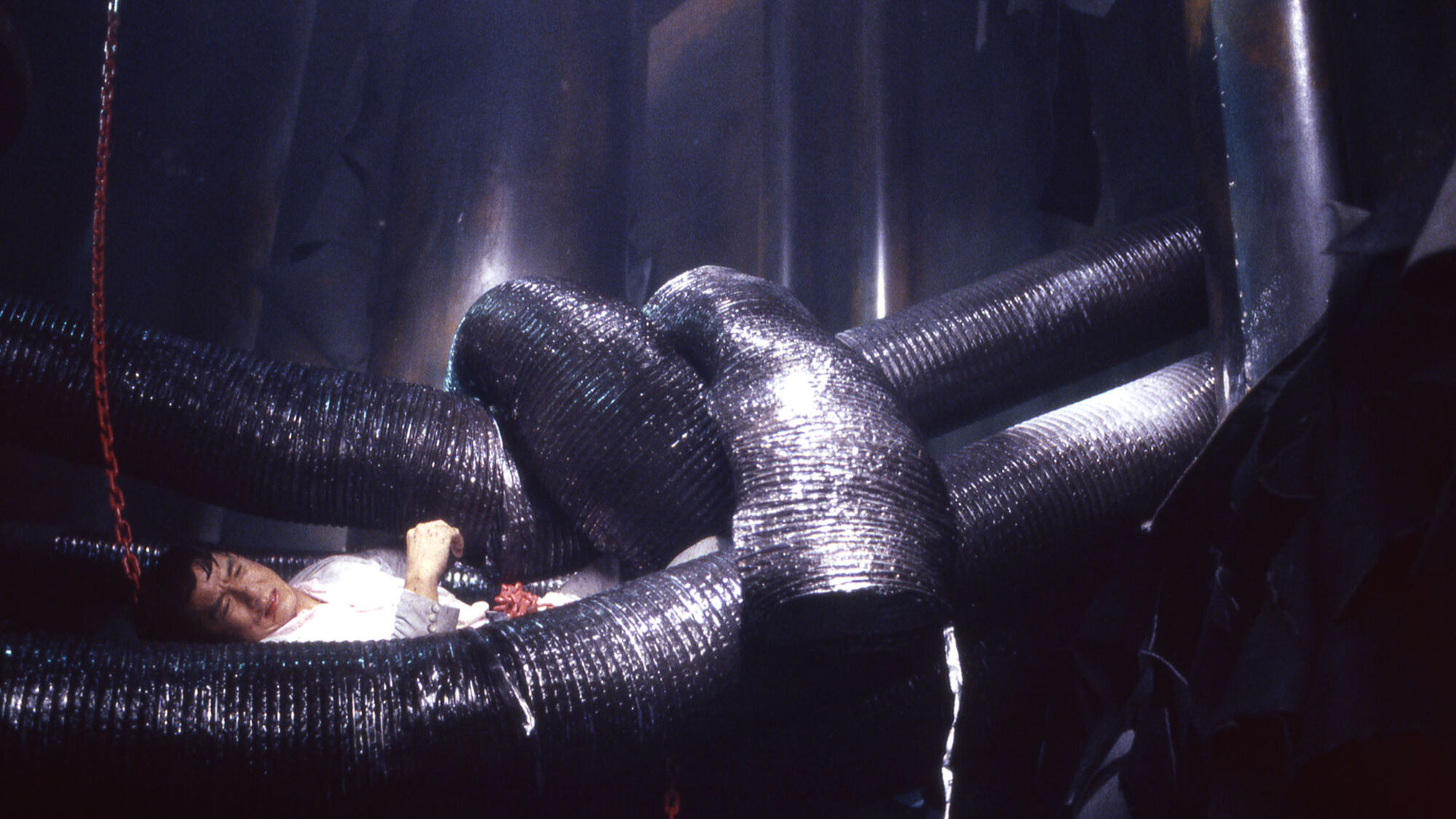 Scene Image 8