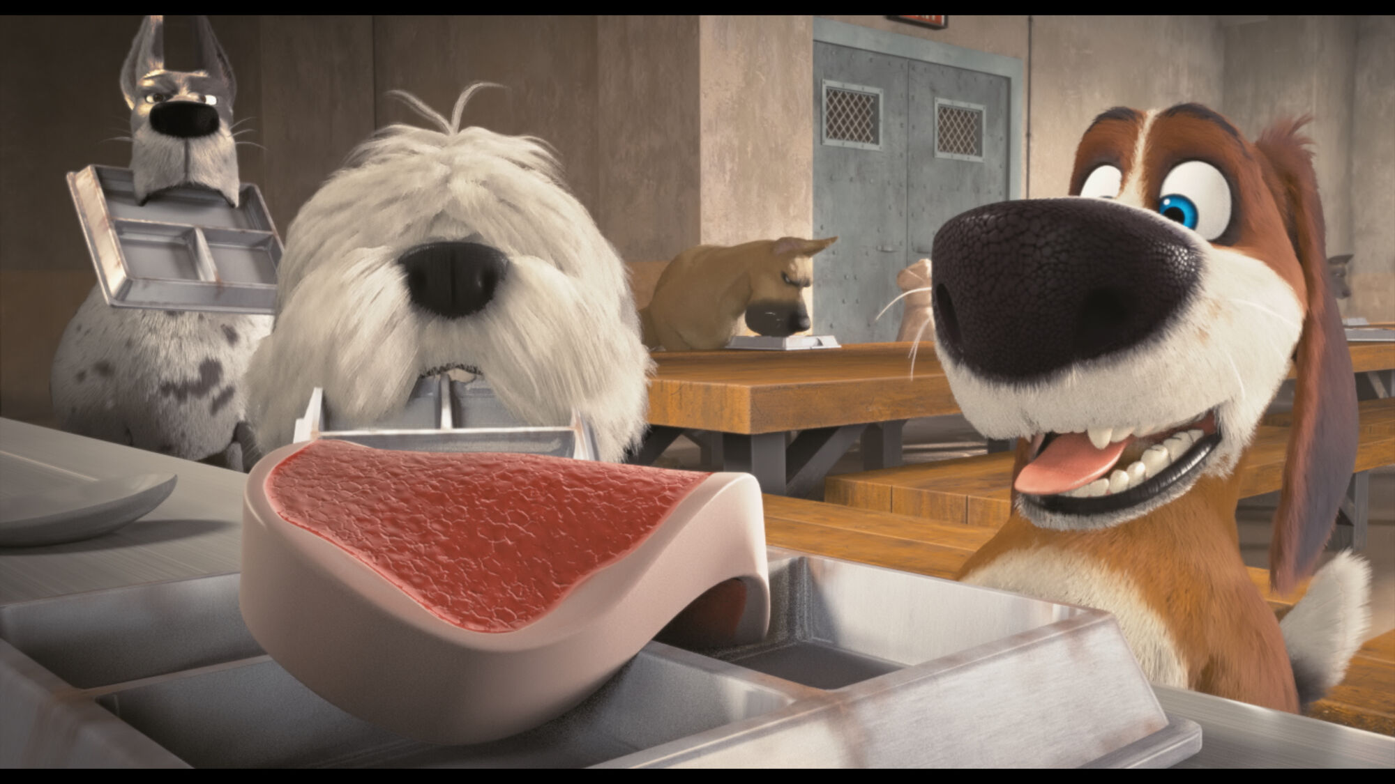 Scene Image 3