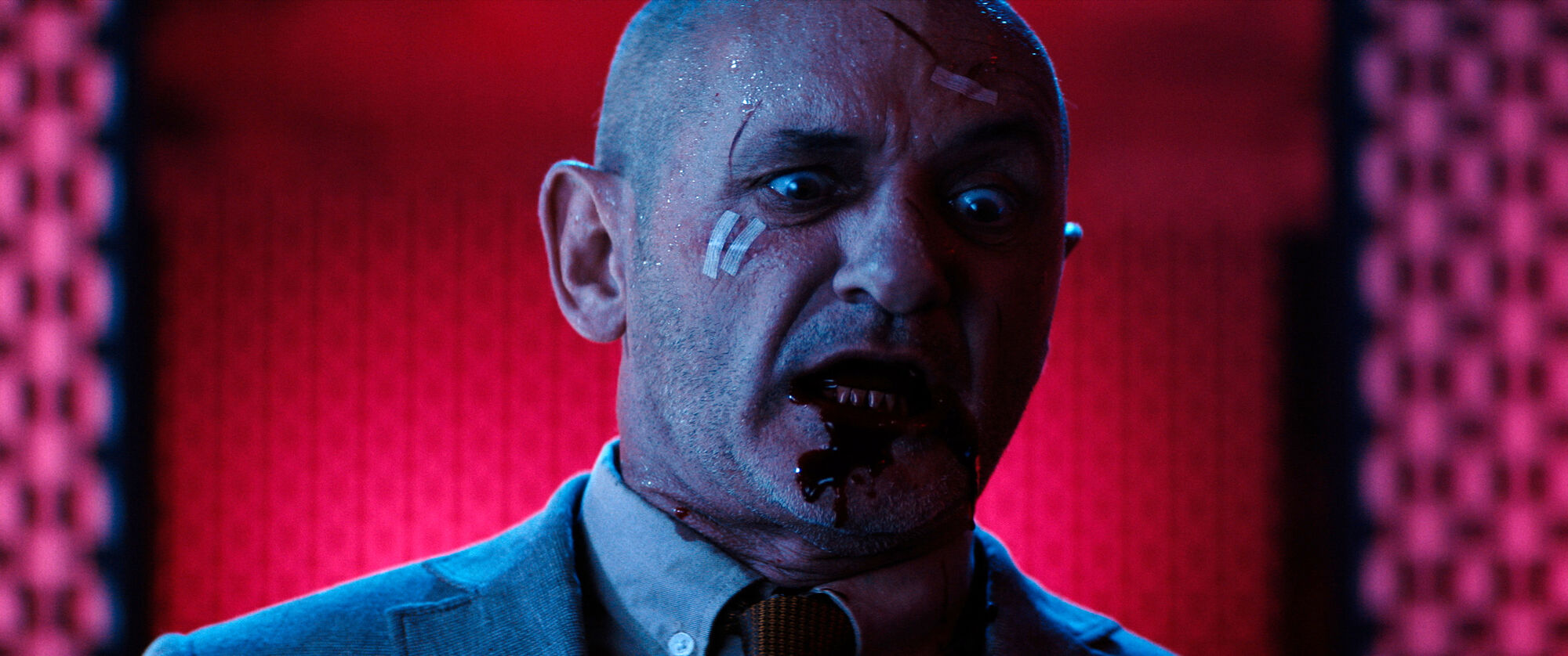 Scene Image 10