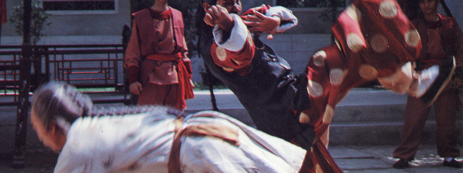 Dragon Hero