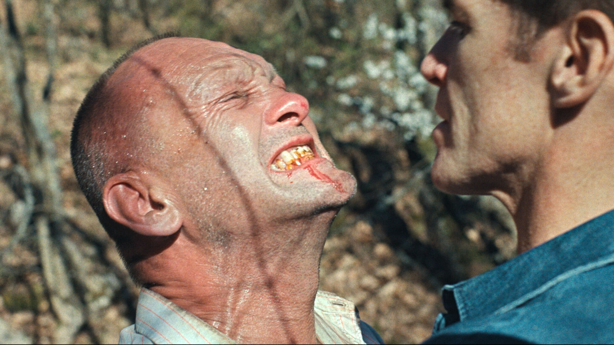 Scene Image 1