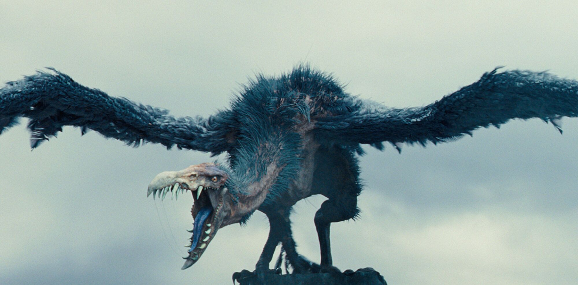 Scene Image 6