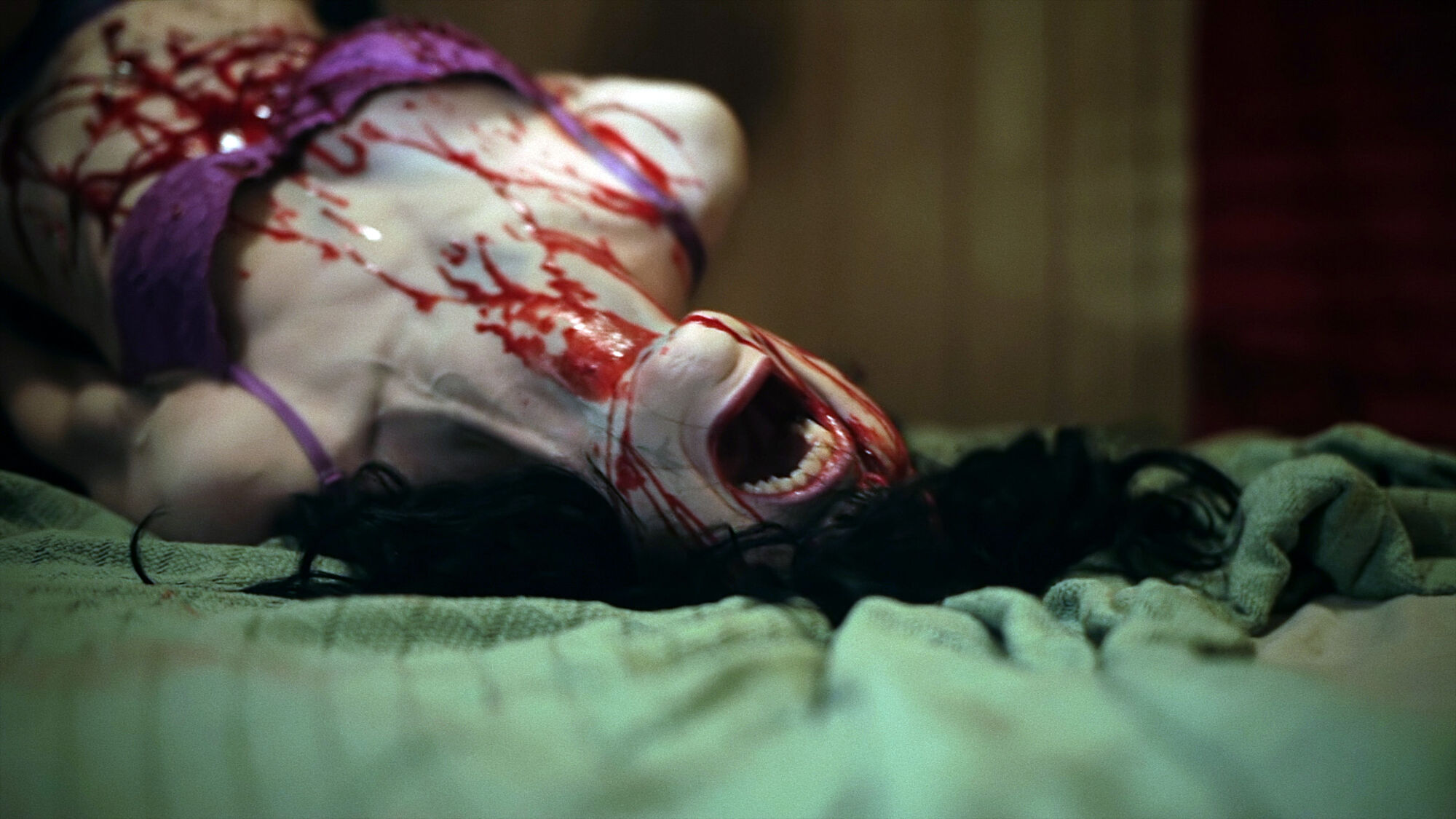Scene Image 1