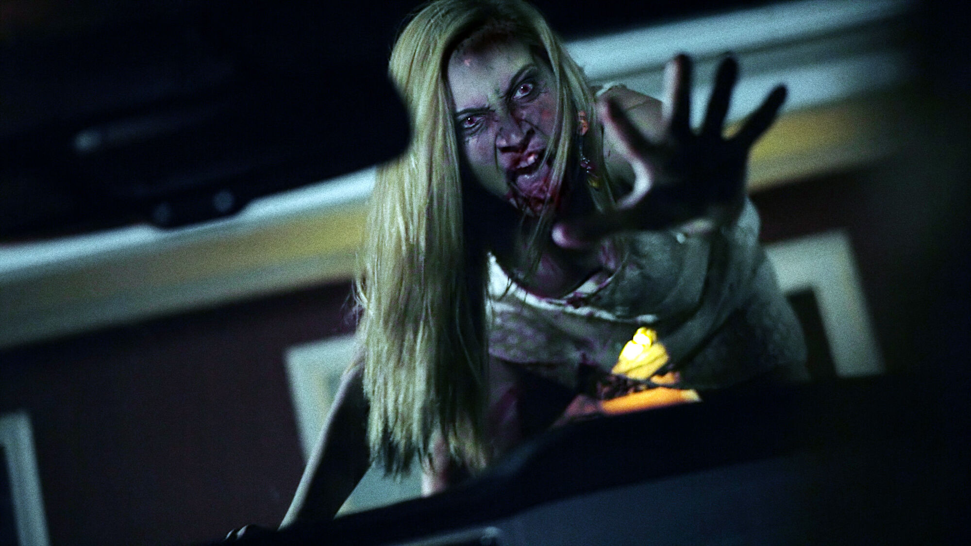 Scene Image 5