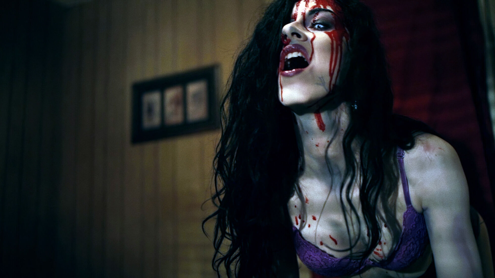 Scene Image 7