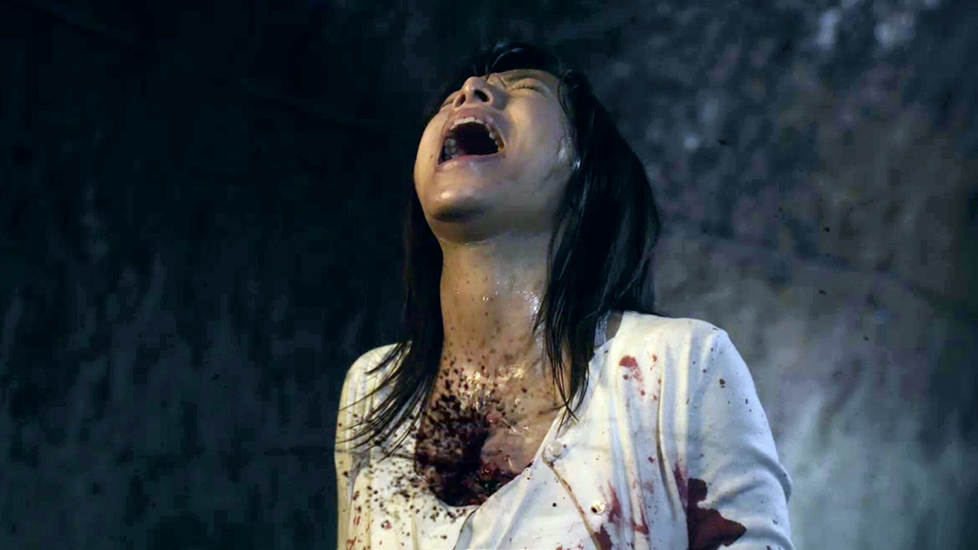 Scene Image 2
