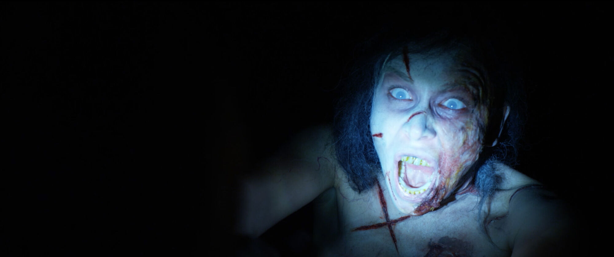 Scene Image 3
