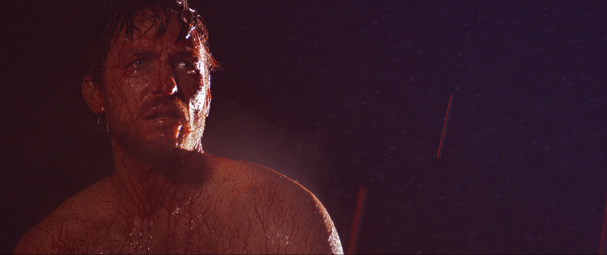 Scene Image 4