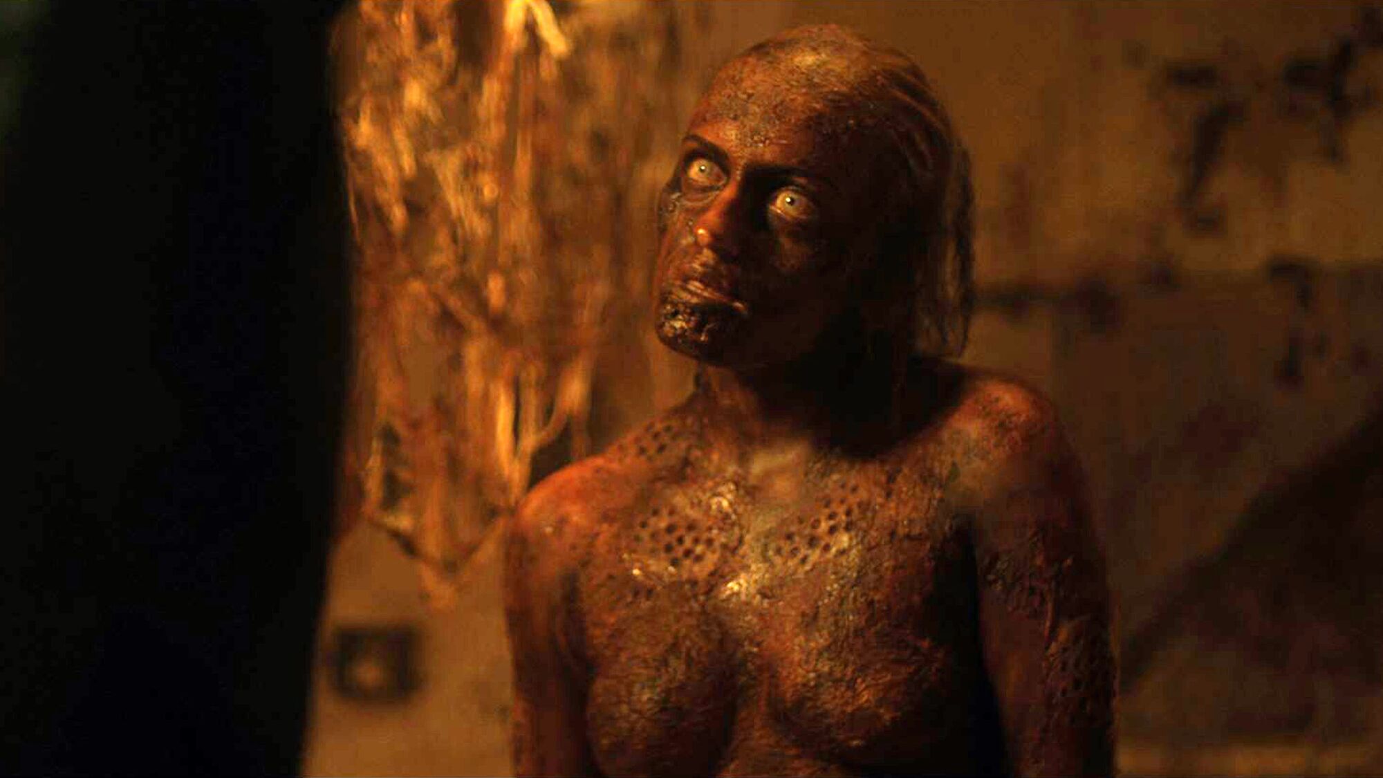 Scene Image 1