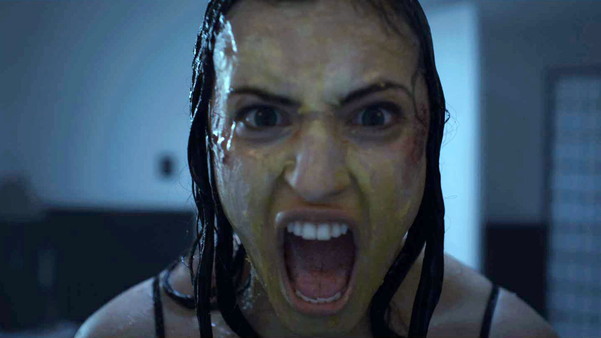 Scene Image 5