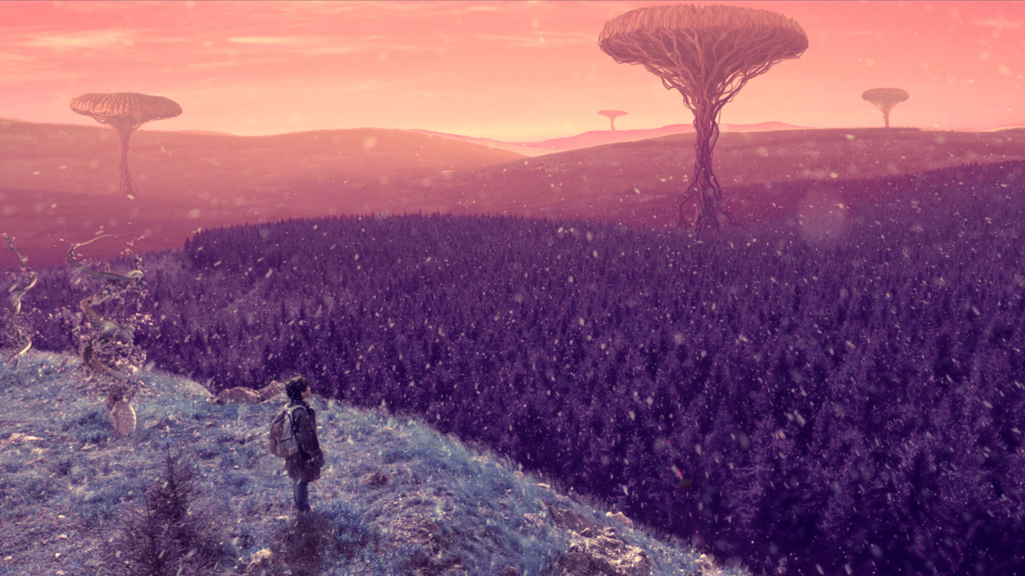 Scene Image 2