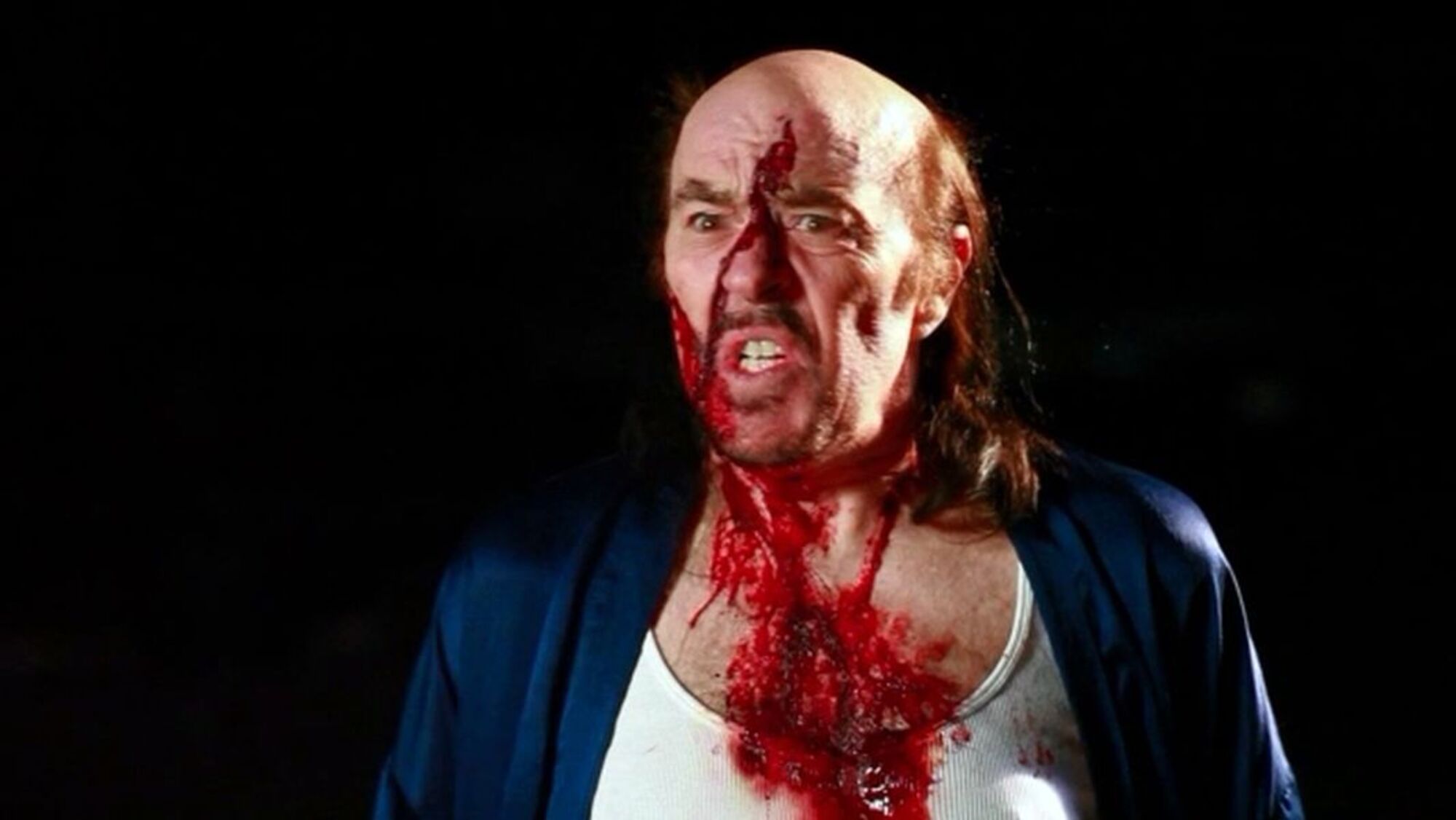 Scene Image 2