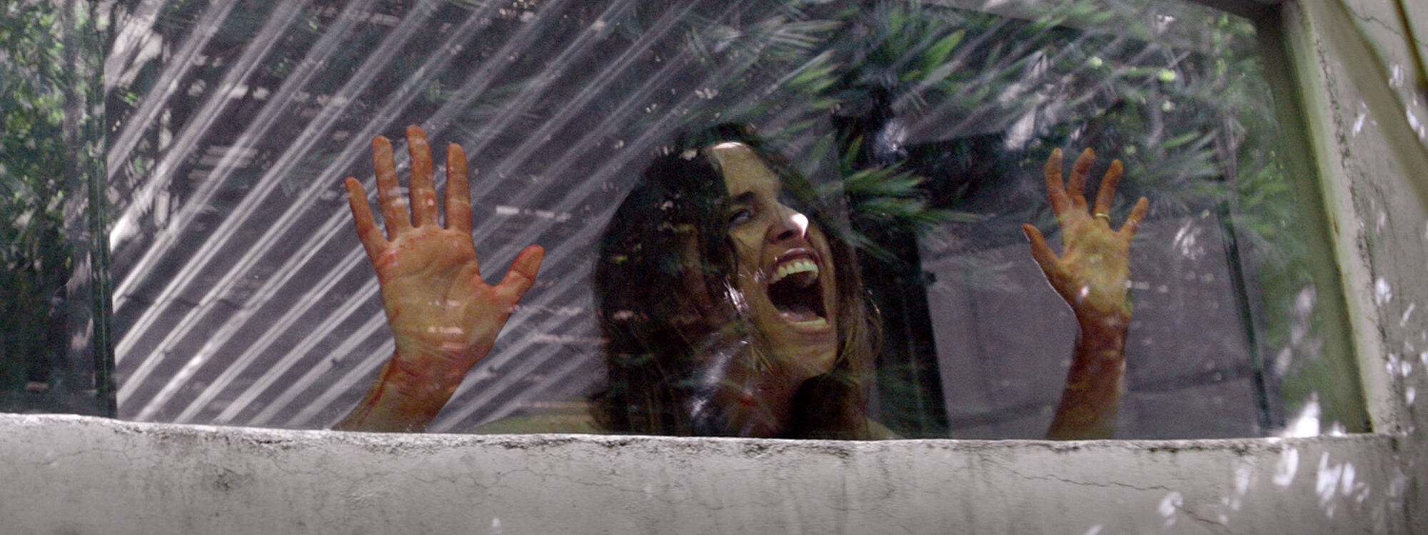 Scene Image 3