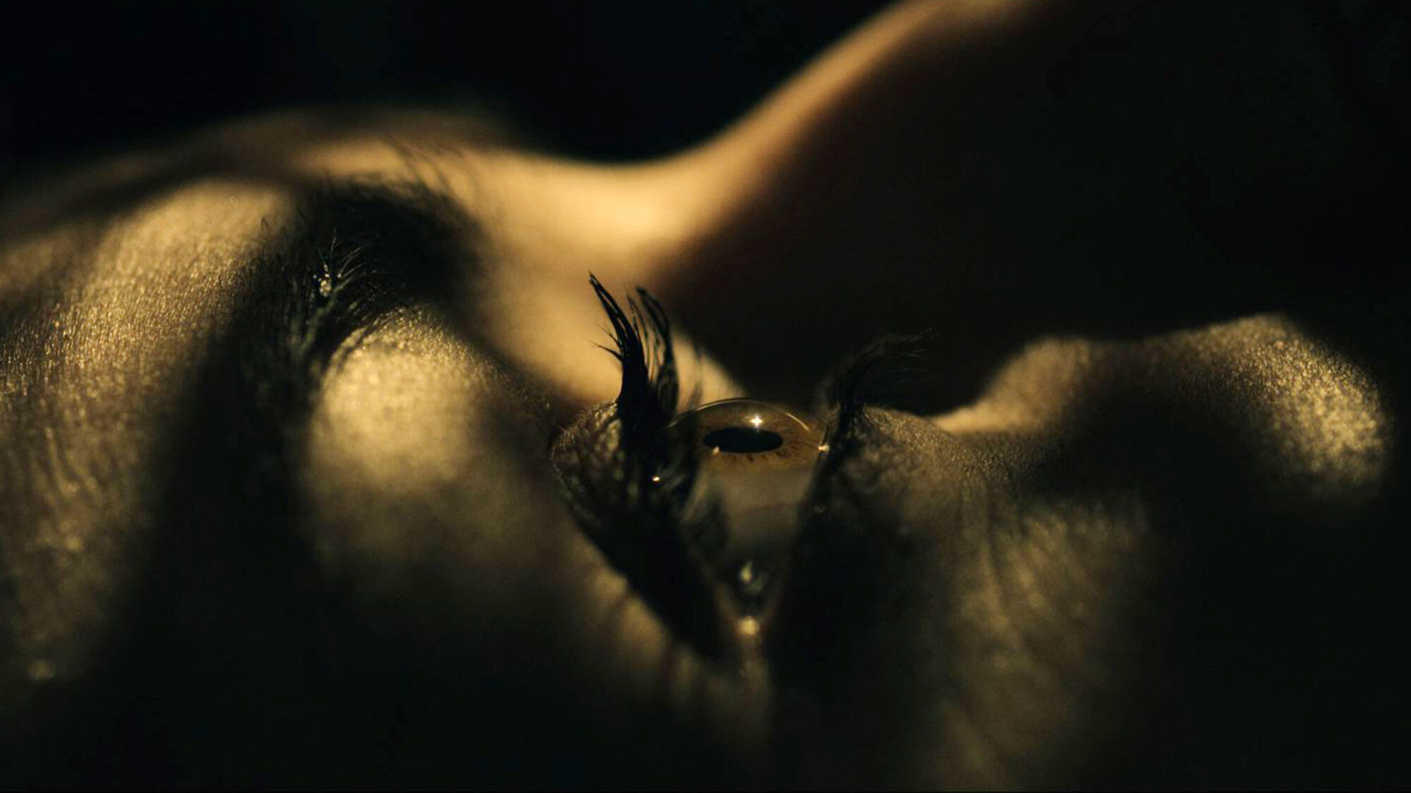 Scene Image 5