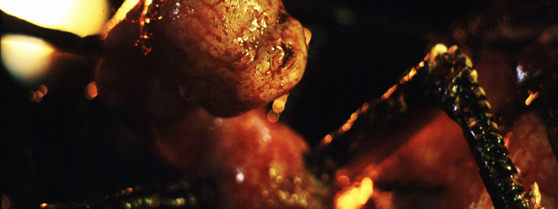 Cradle of Fear - Directors Cut
