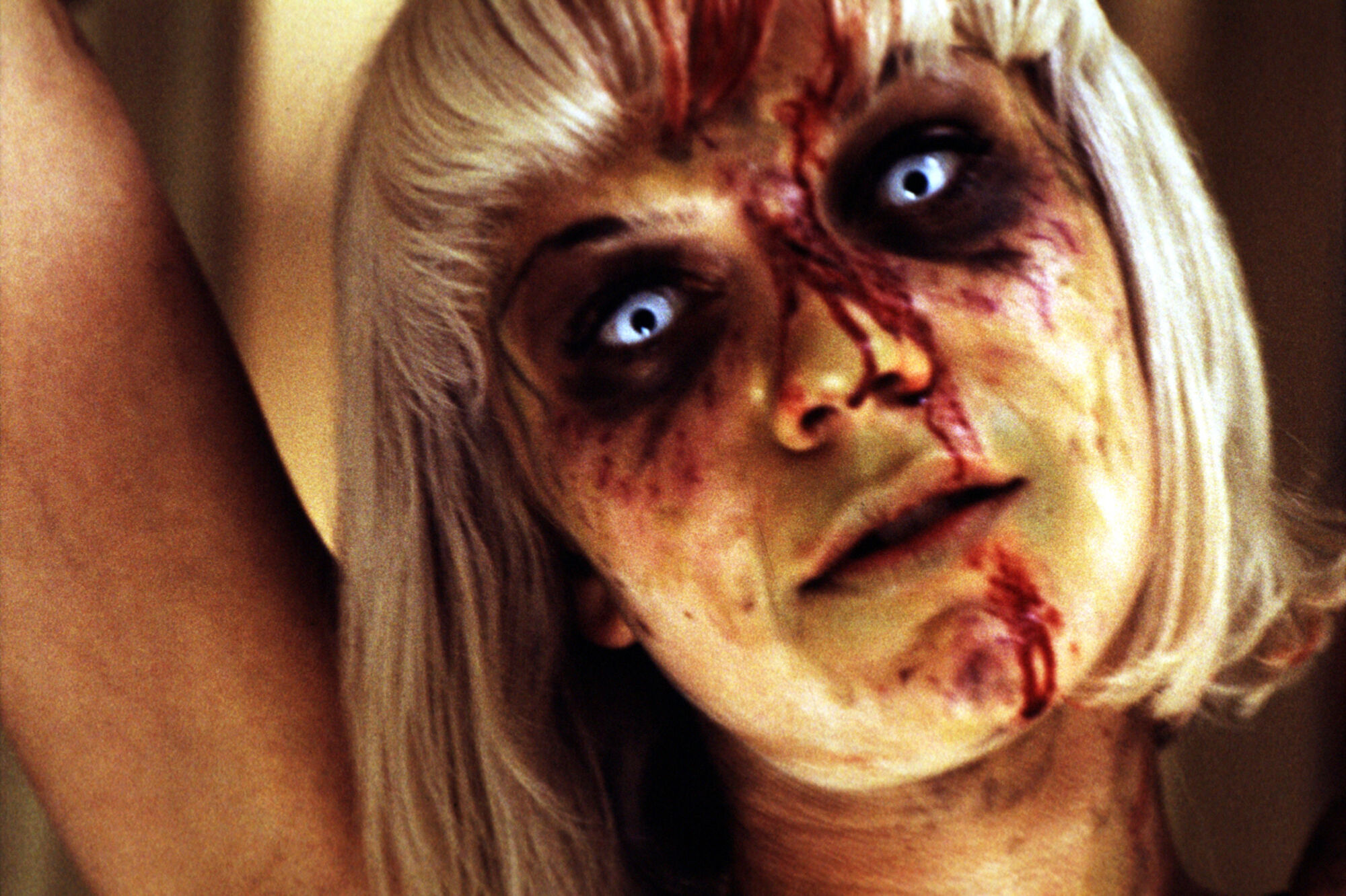 Scene Image 6