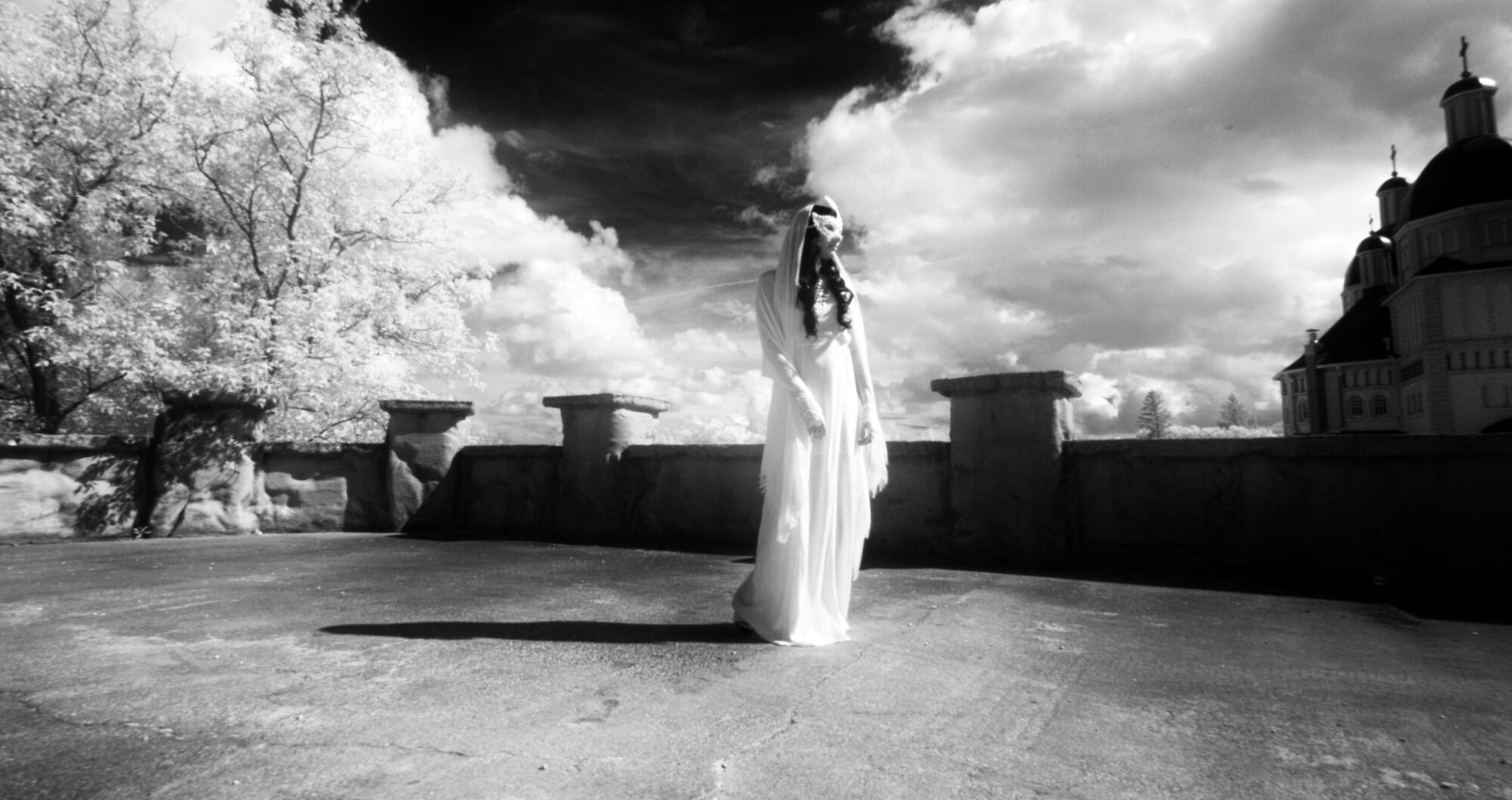 Scene Image 4