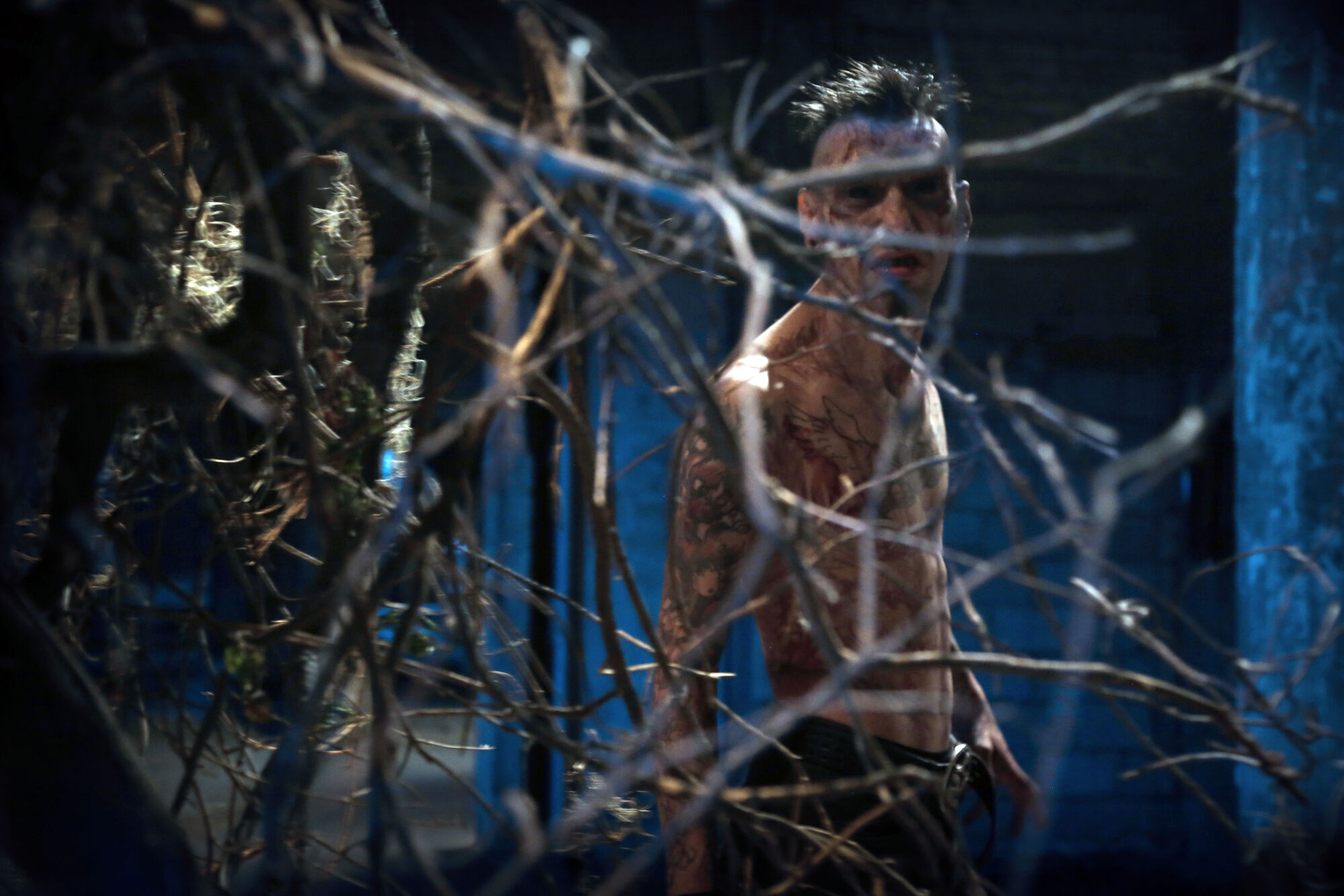 Scene Image 6