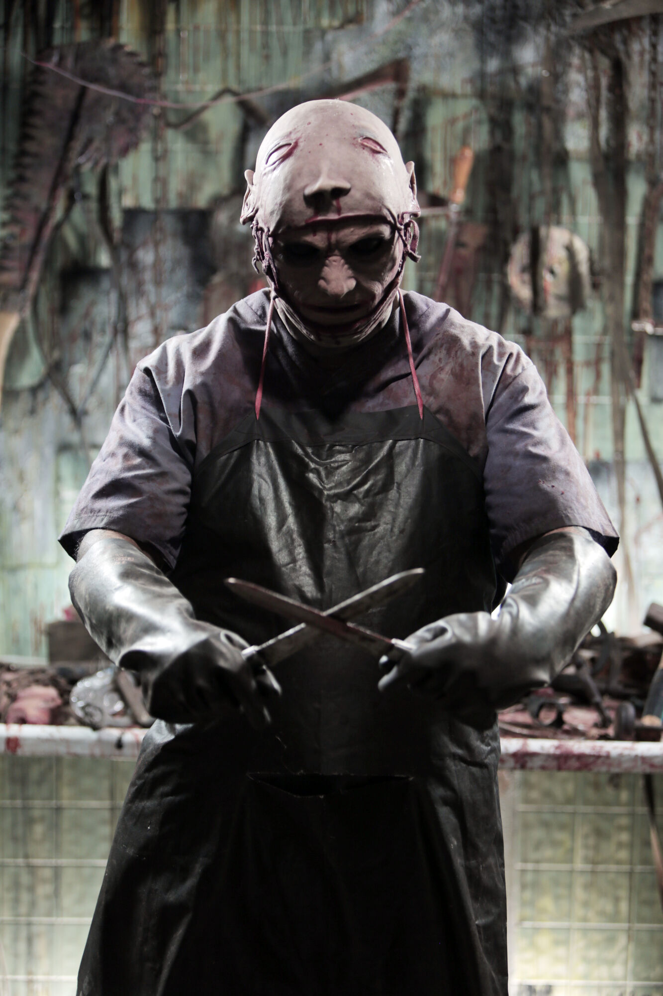 Scene Image 4