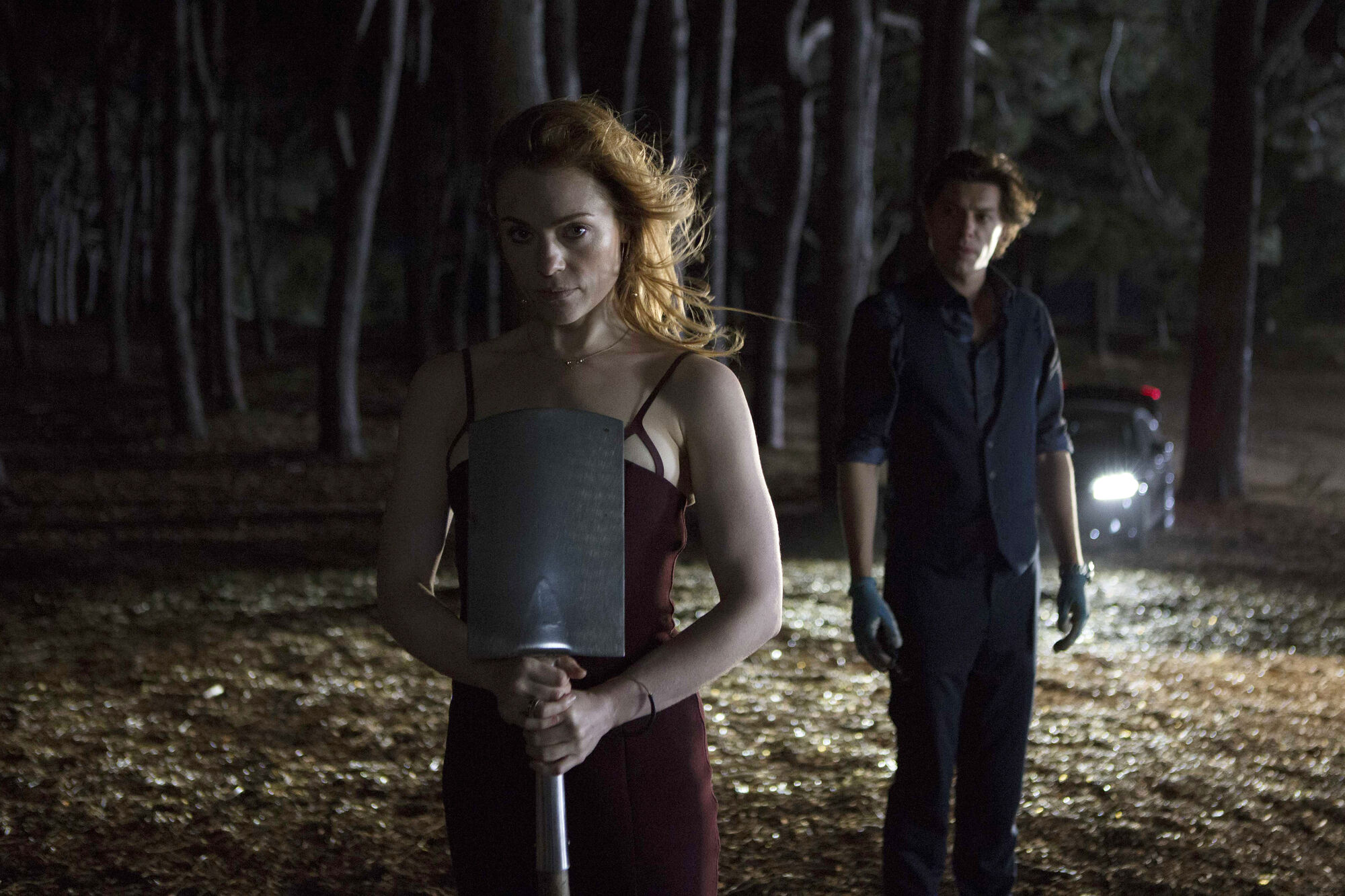 Scene Image 1