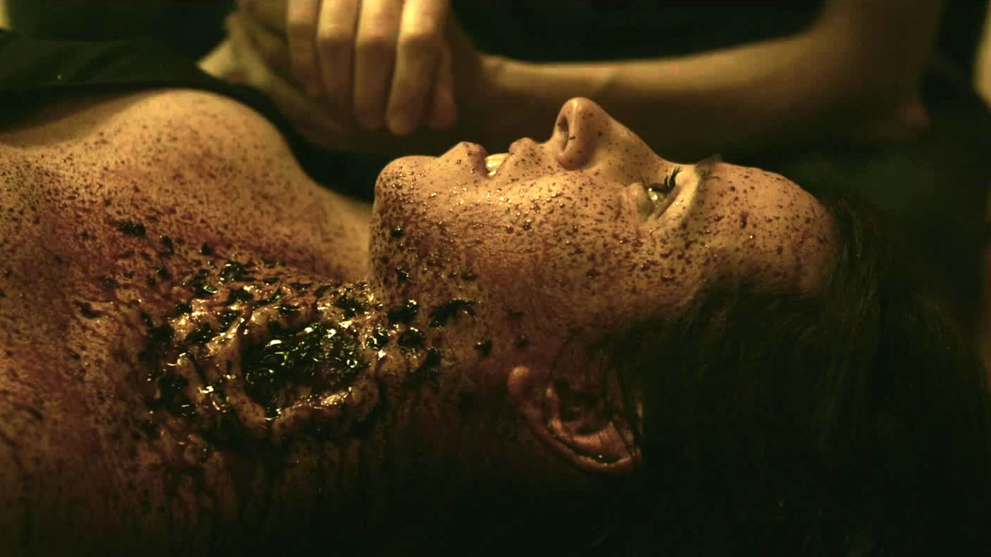 Scene Image 1