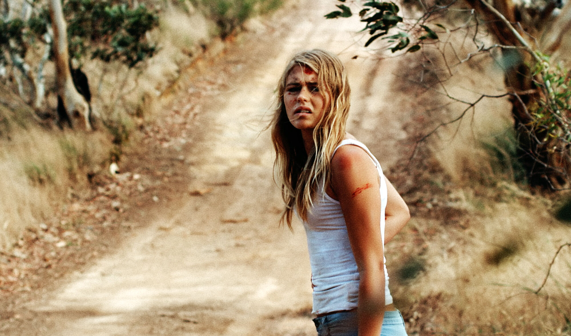 Scene Image 1