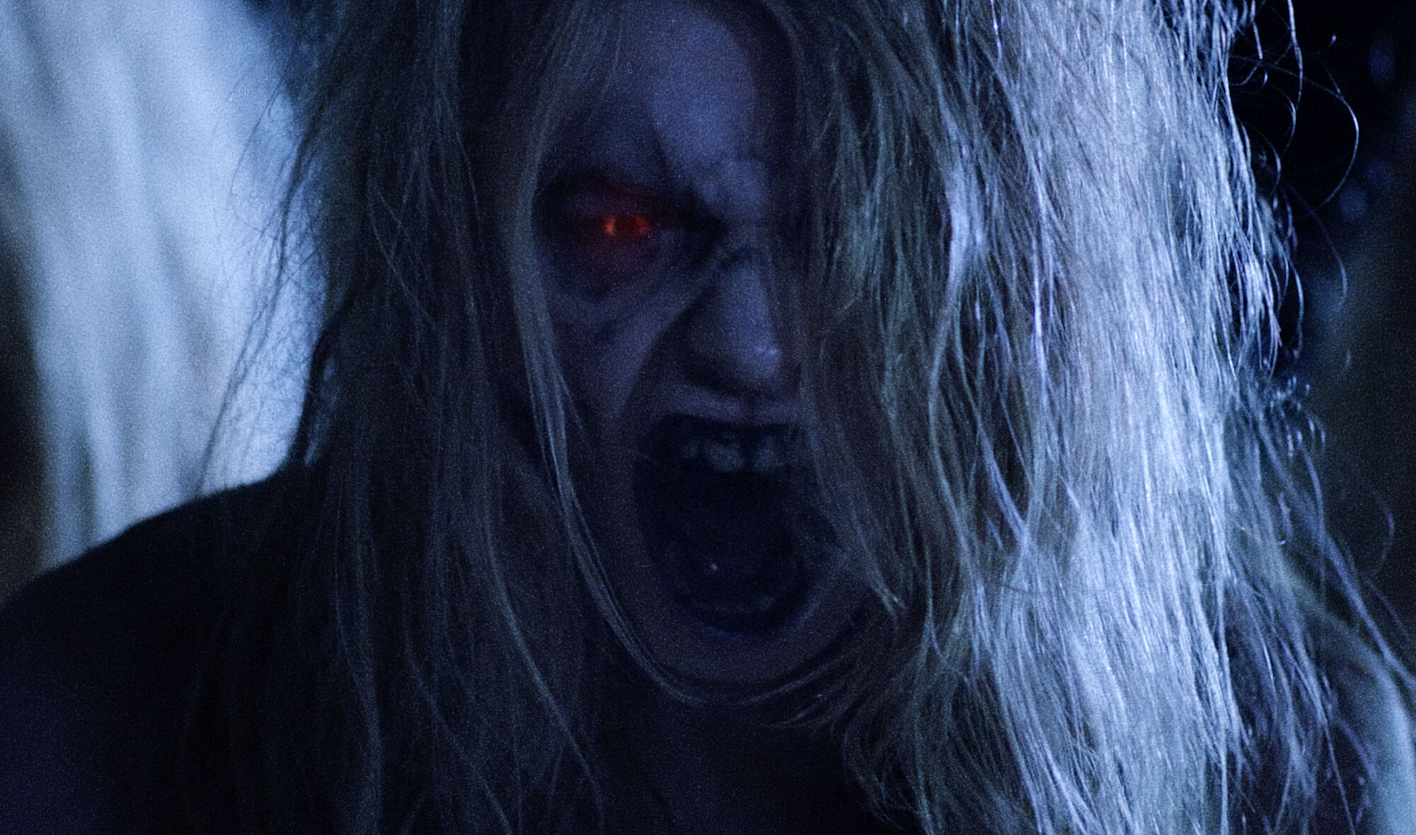 Scene Image 4