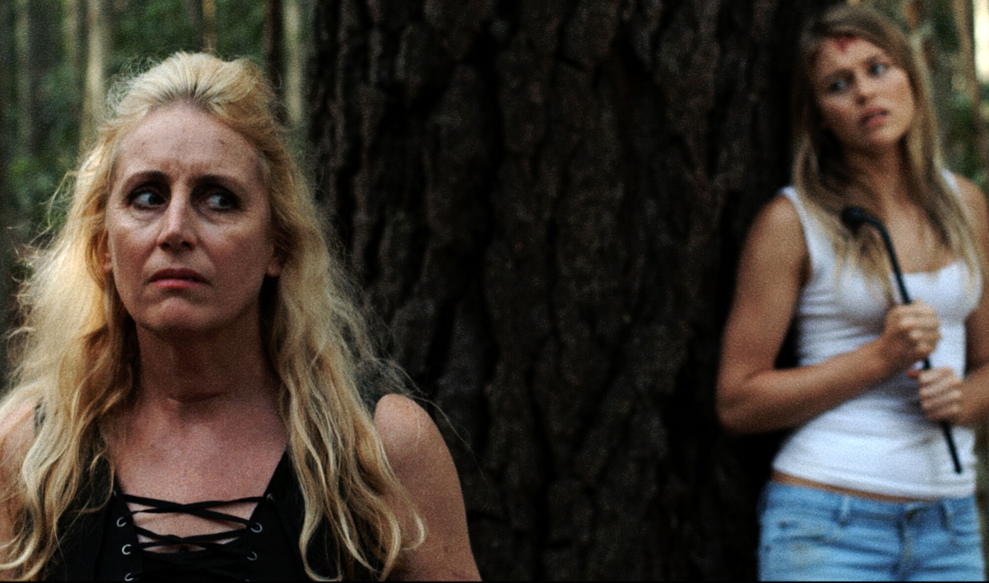 Scene Image 8