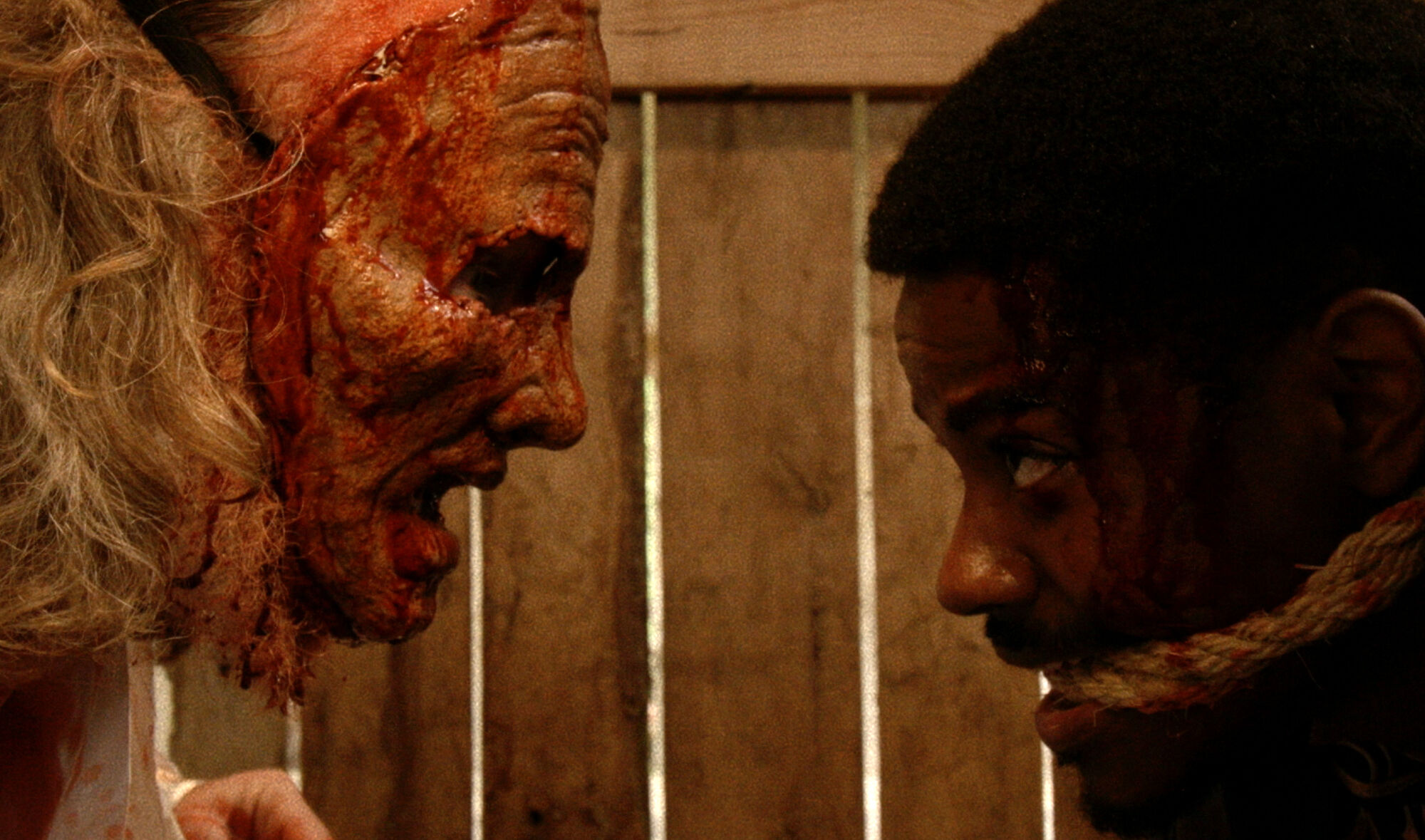 Scene Image 1