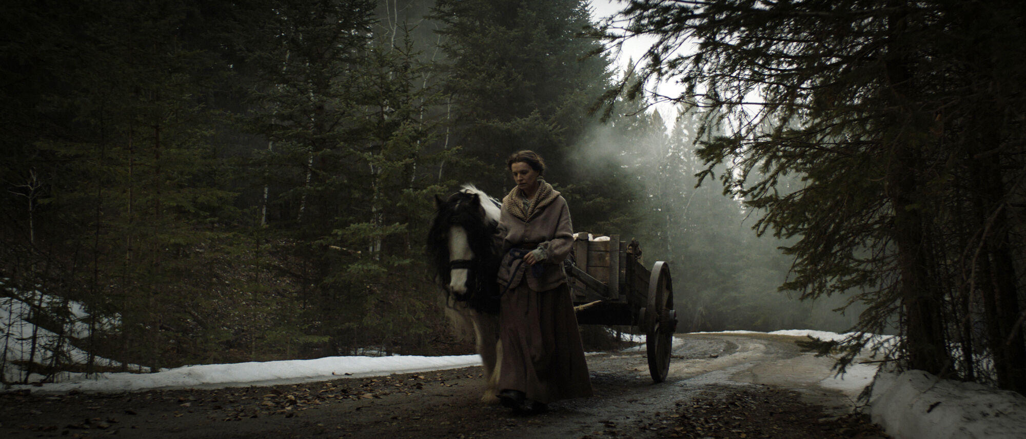 Scene Image 7