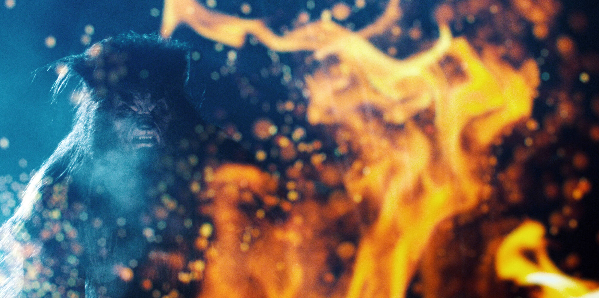 Scene Image 4