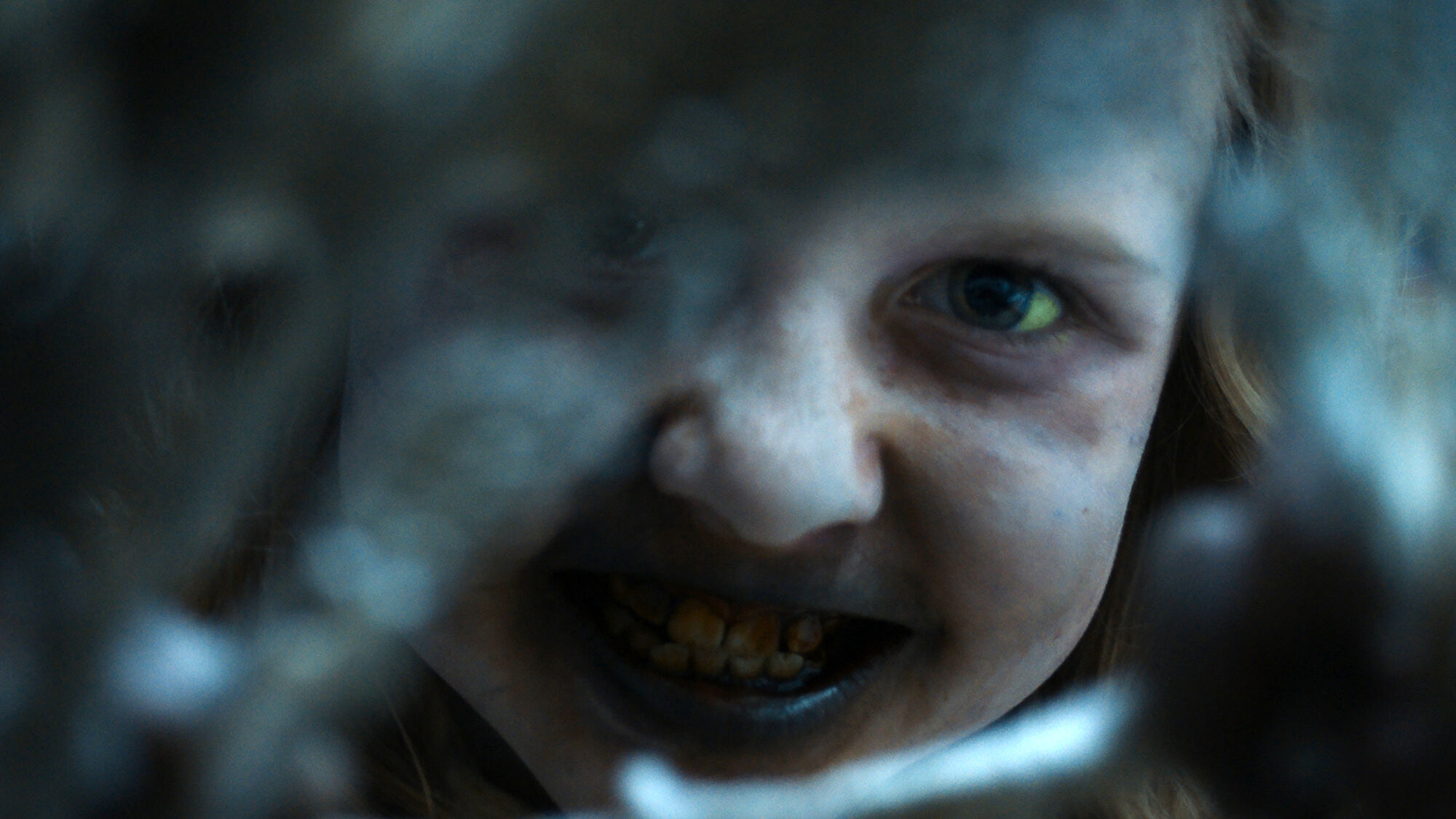 Scene Image 3