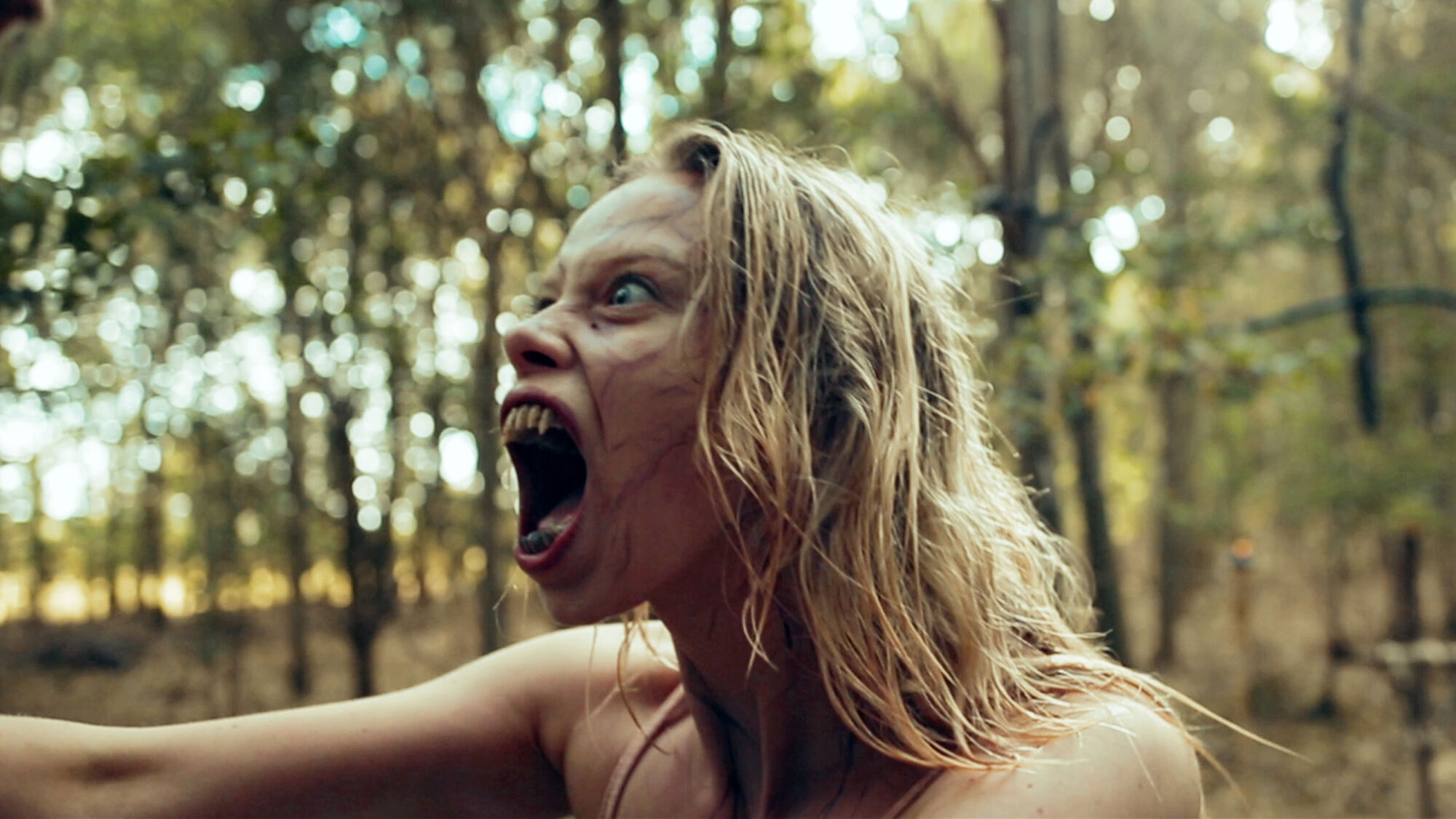 Scene Image 1