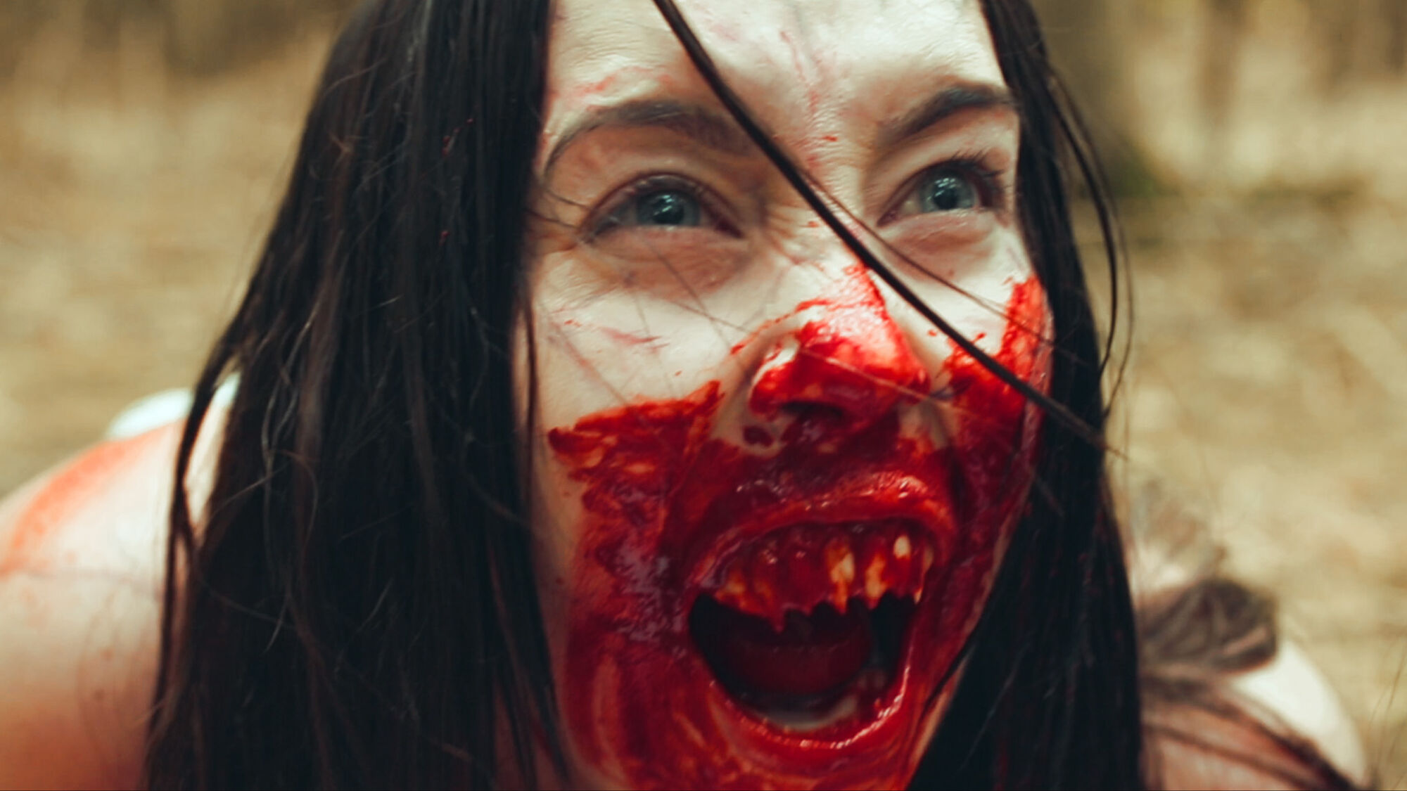 Scene Image 5
