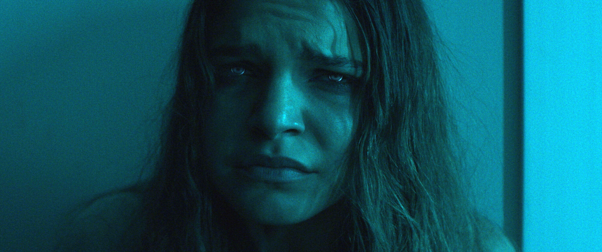 Scene Image 3