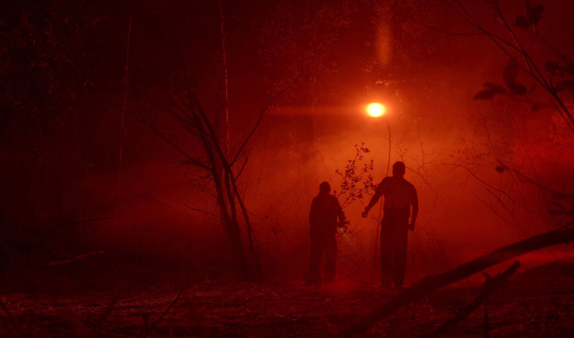 Scene Image 5