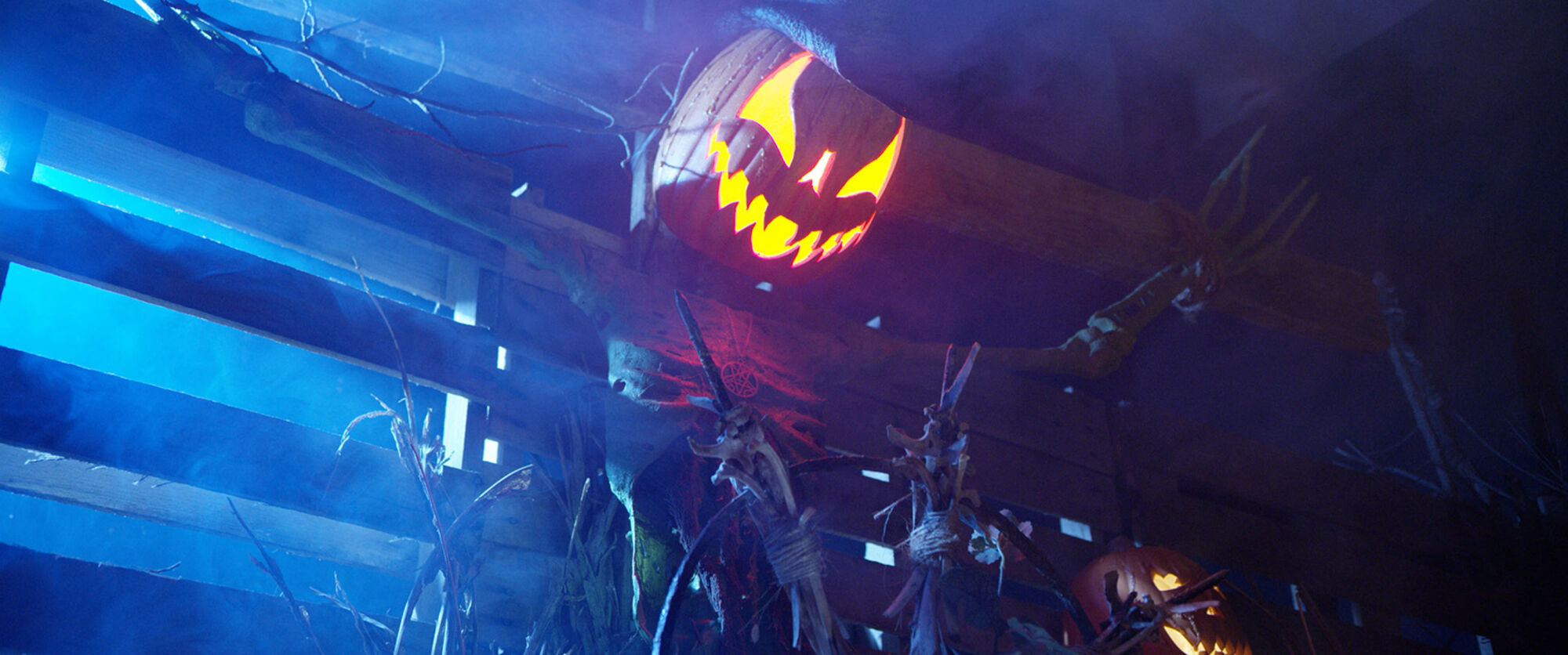 Scene Image 6
