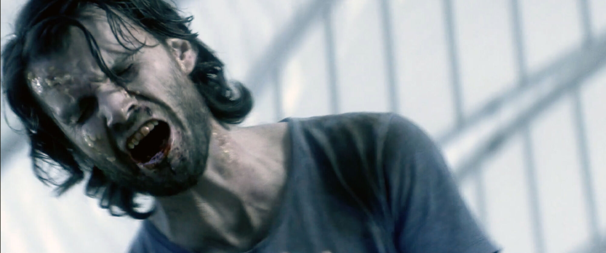 Scene Image 5