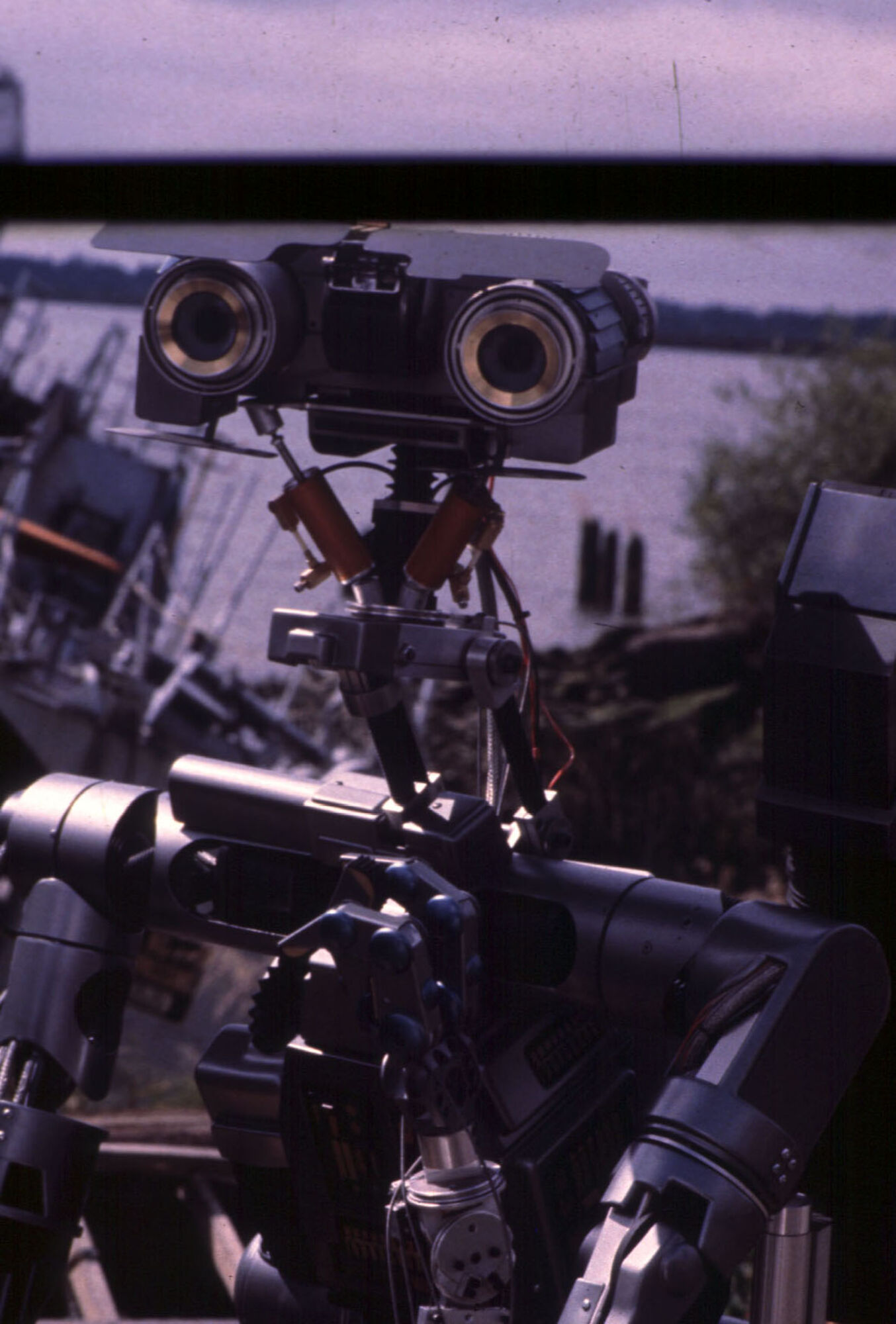 Scene Image 4
