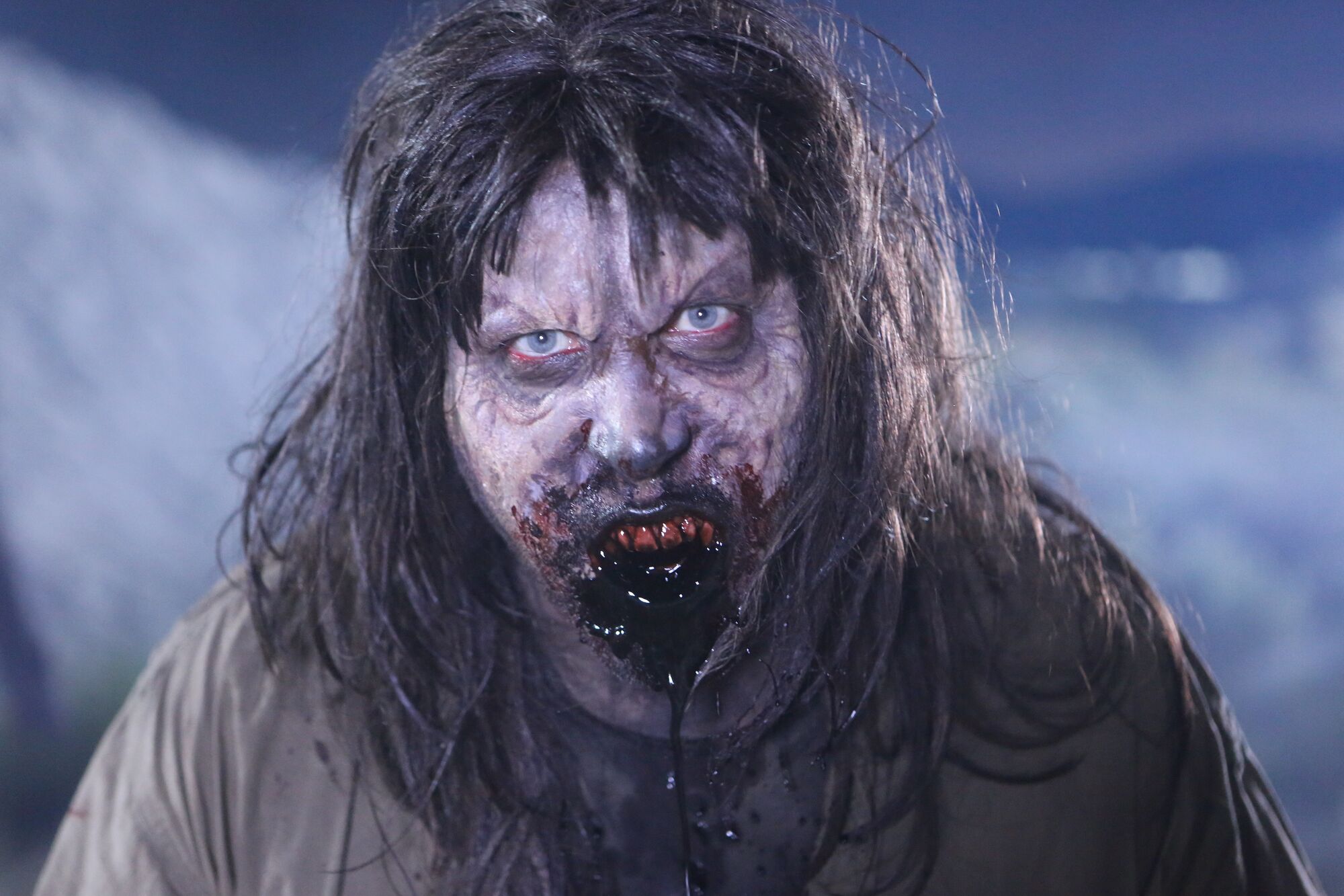 Scene Image 3