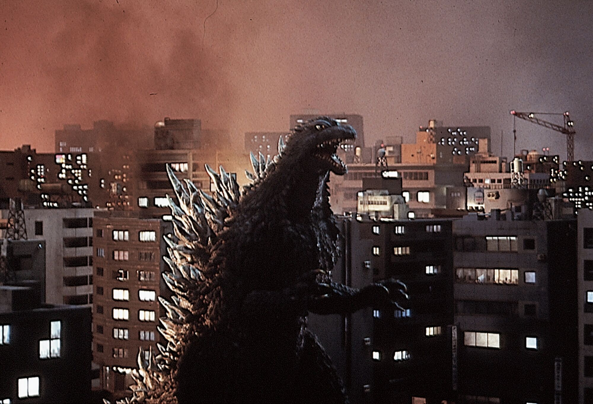 Scene Image 3