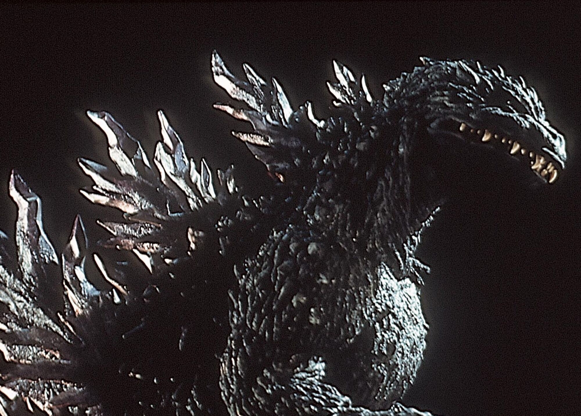 Scene Image 4