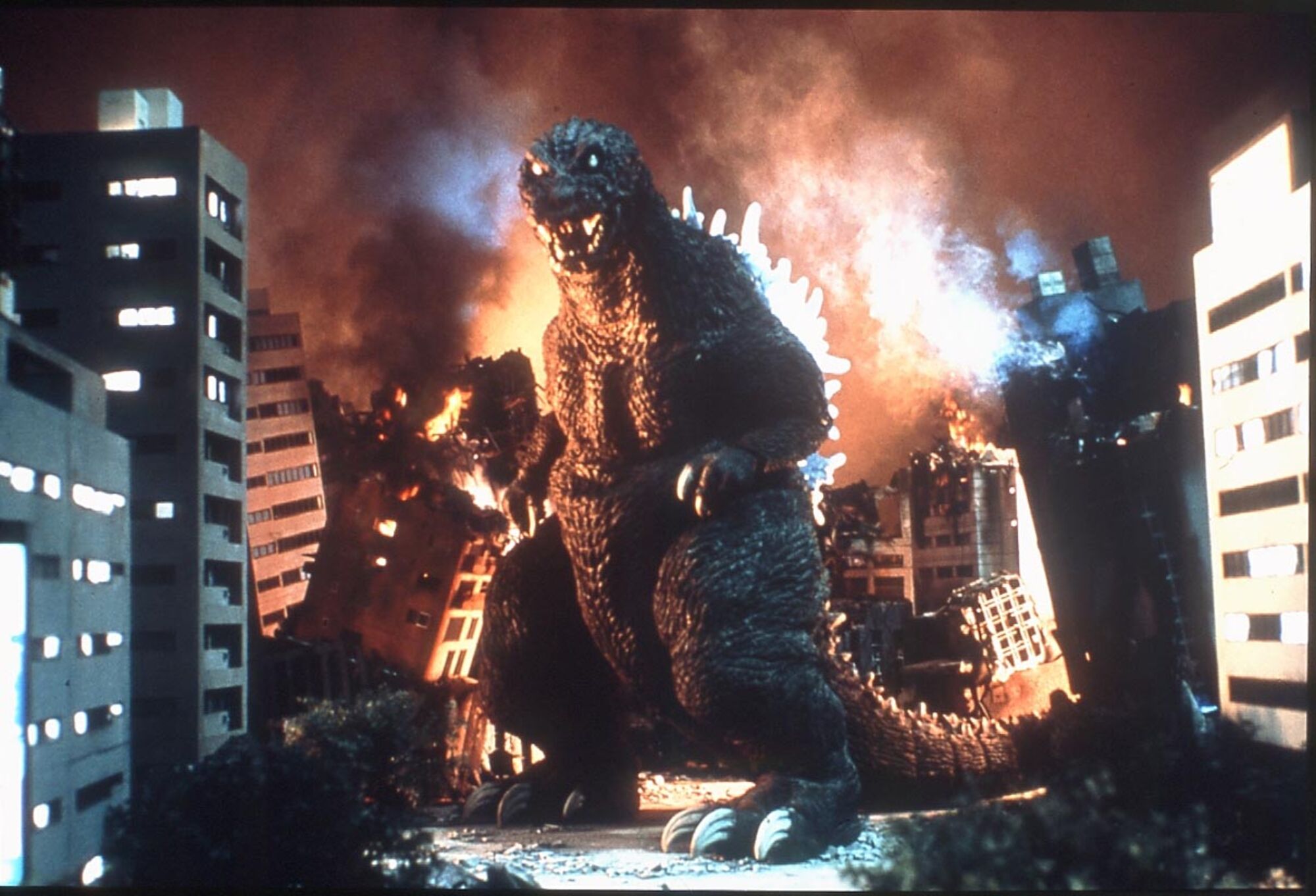 Scene Image 6